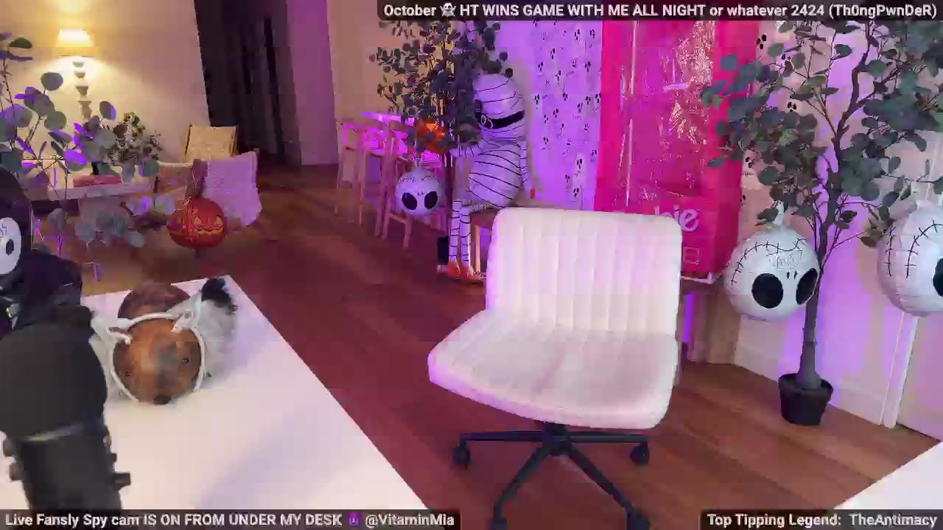 Gallery image thumbnail from MissAustralia's myfreecams stream on, 10/08/2025, 07:03 image 12 of 20