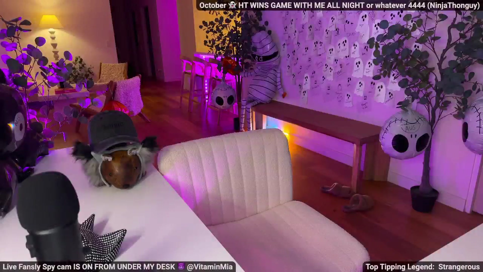 Gallery image thumbnail from MissAustralia's myfreecams stream on, 10/13/2025, 10:48 image 17 of 20