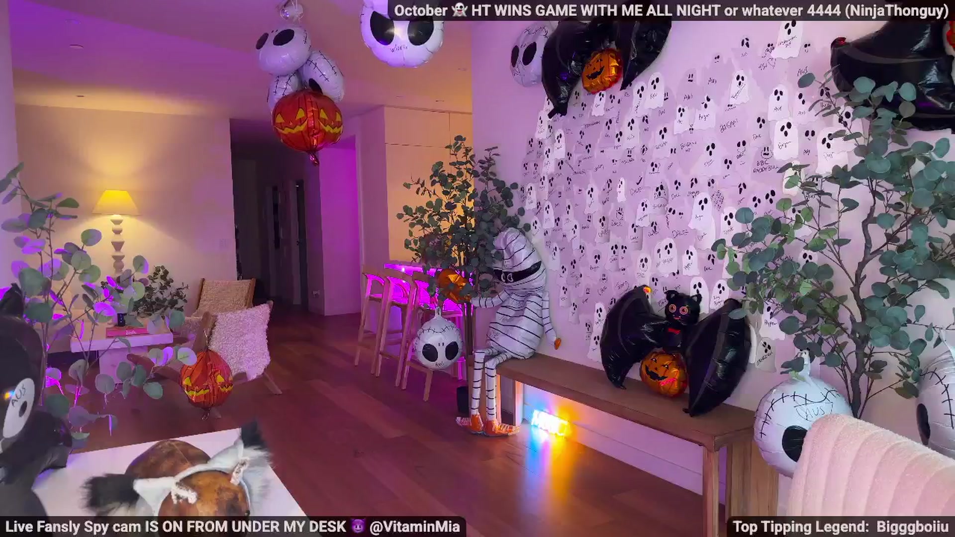Gallery image thumbnail from MissAustralia's myfreecams stream on, 10/16/2025, 06:11 image 5 of 20