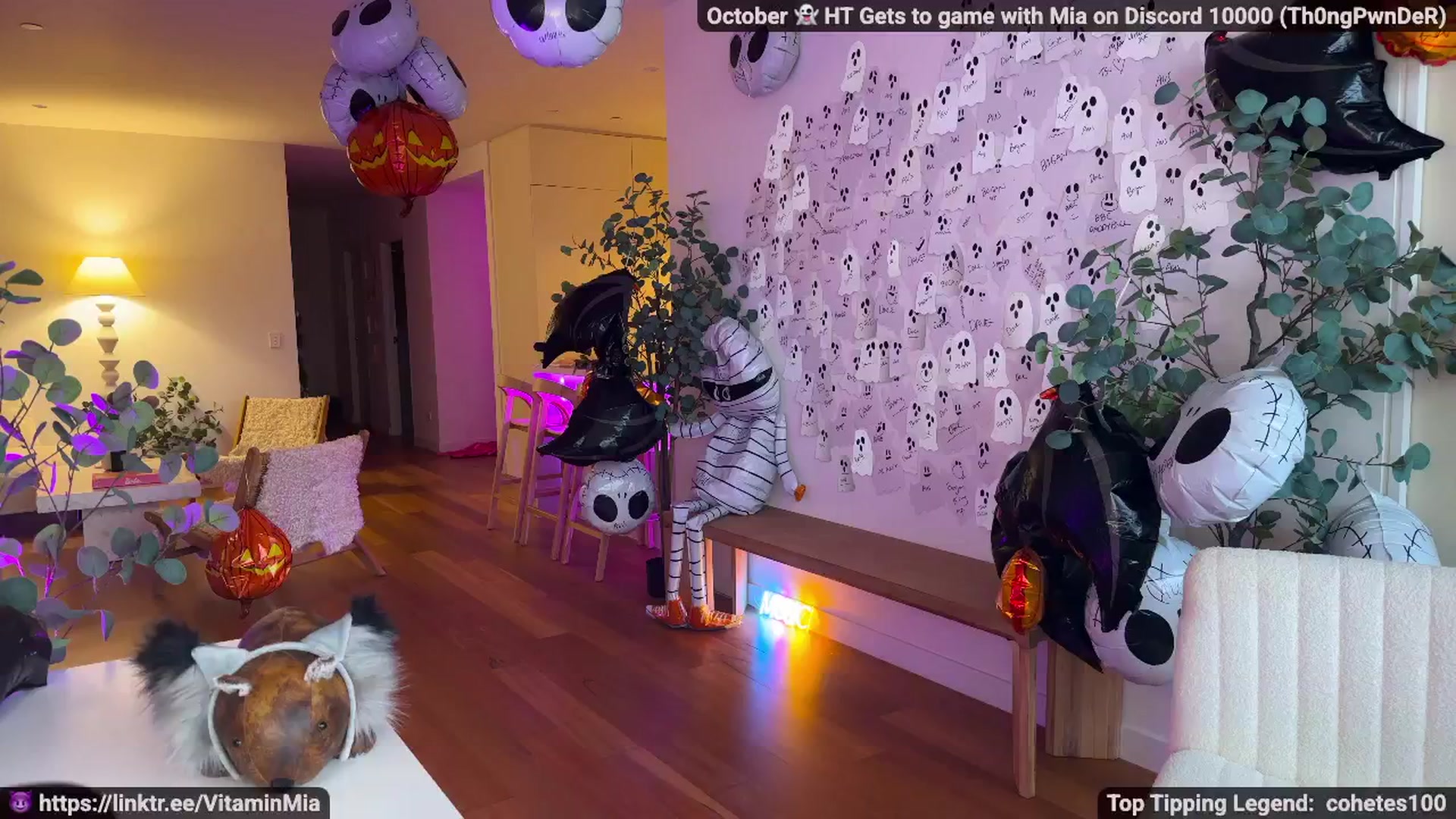 Gallery image thumbnail from MissAustralia's myfreecams stream on, 10/20/2025, 06:39 image 9 of 20