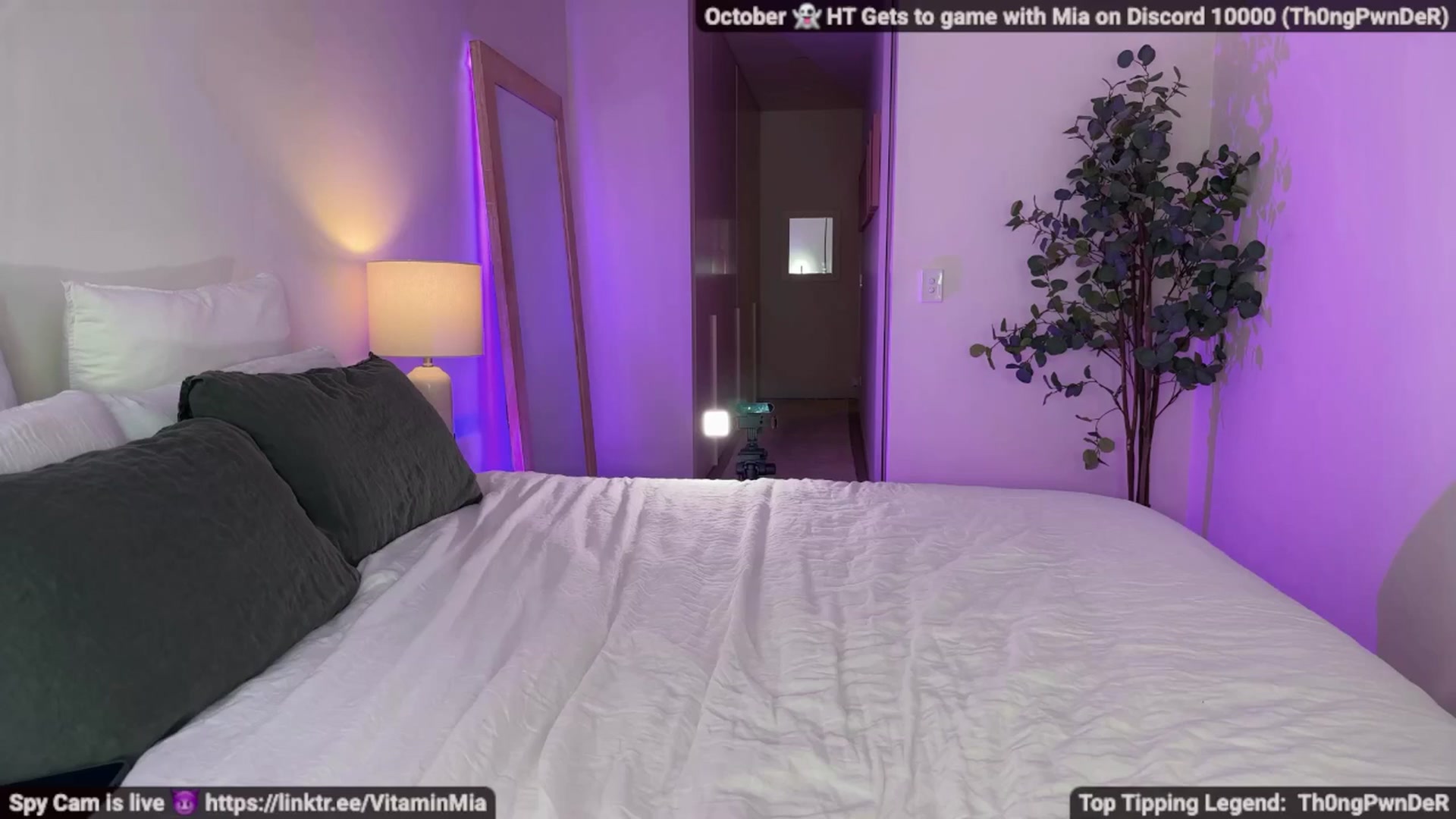 Gallery image thumbnail from MissAustralia's myfreecams stream on, 10/23/2025, 05:19 image 8 of 20