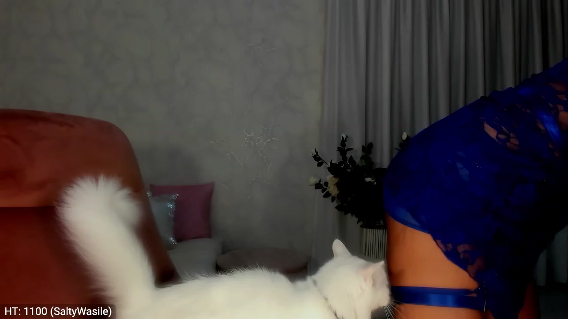 Gallery image thumbnail from MissButterfly's myfreecams stream on, 10/26/2023, 05:16 image 1 of 20