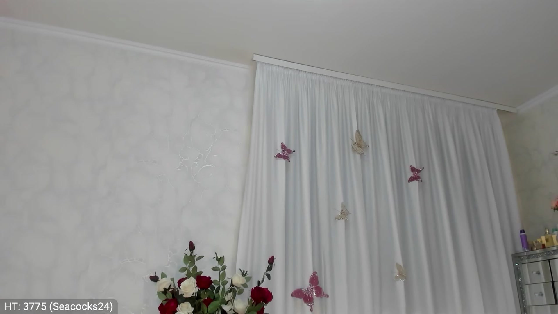 Gallery image thumbnail from MissButterfly's myfreecams stream on, 11/03/2023, 05:41 image 2 of 20