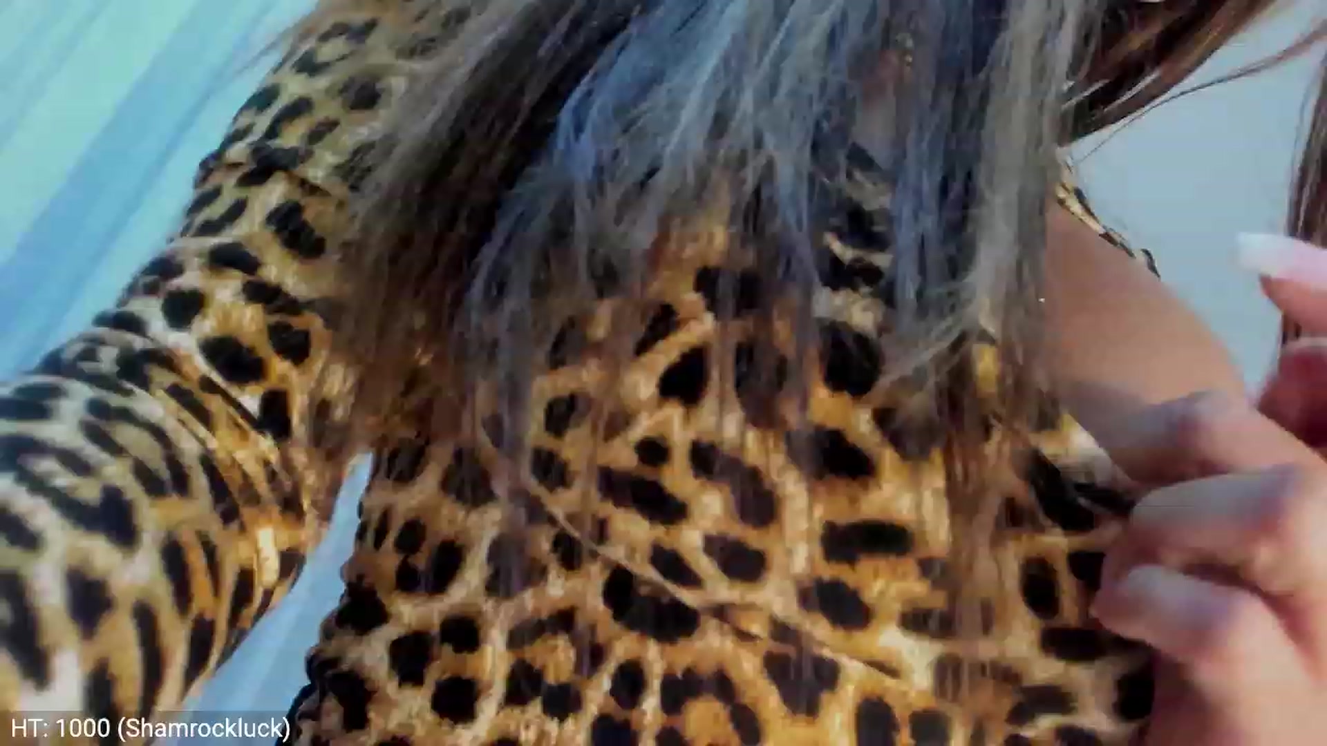 Gallery image thumbnail from MissButterfly's myfreecams stream on, 12/08/2023, 03:56 image 7 of 20