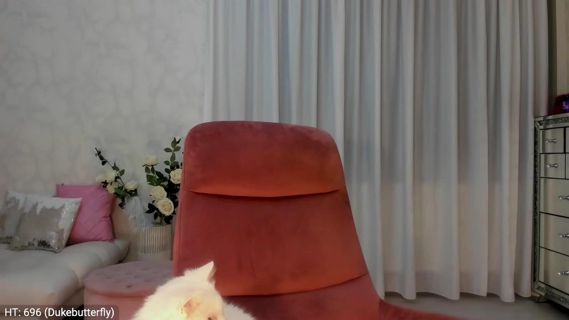 Gallery image thumbnail from MissButterfly's myfreecams stream on, 02/07/2024, 21:02 image 2 of 20