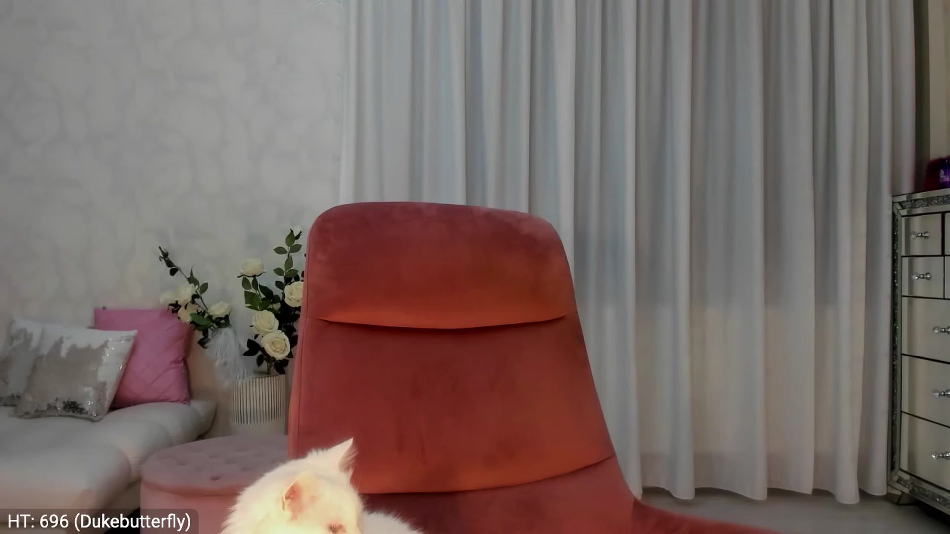 Gallery image thumbnail from MissButterfly's myfreecams stream on, 02/07/2024, 21:02 image 3 of 20