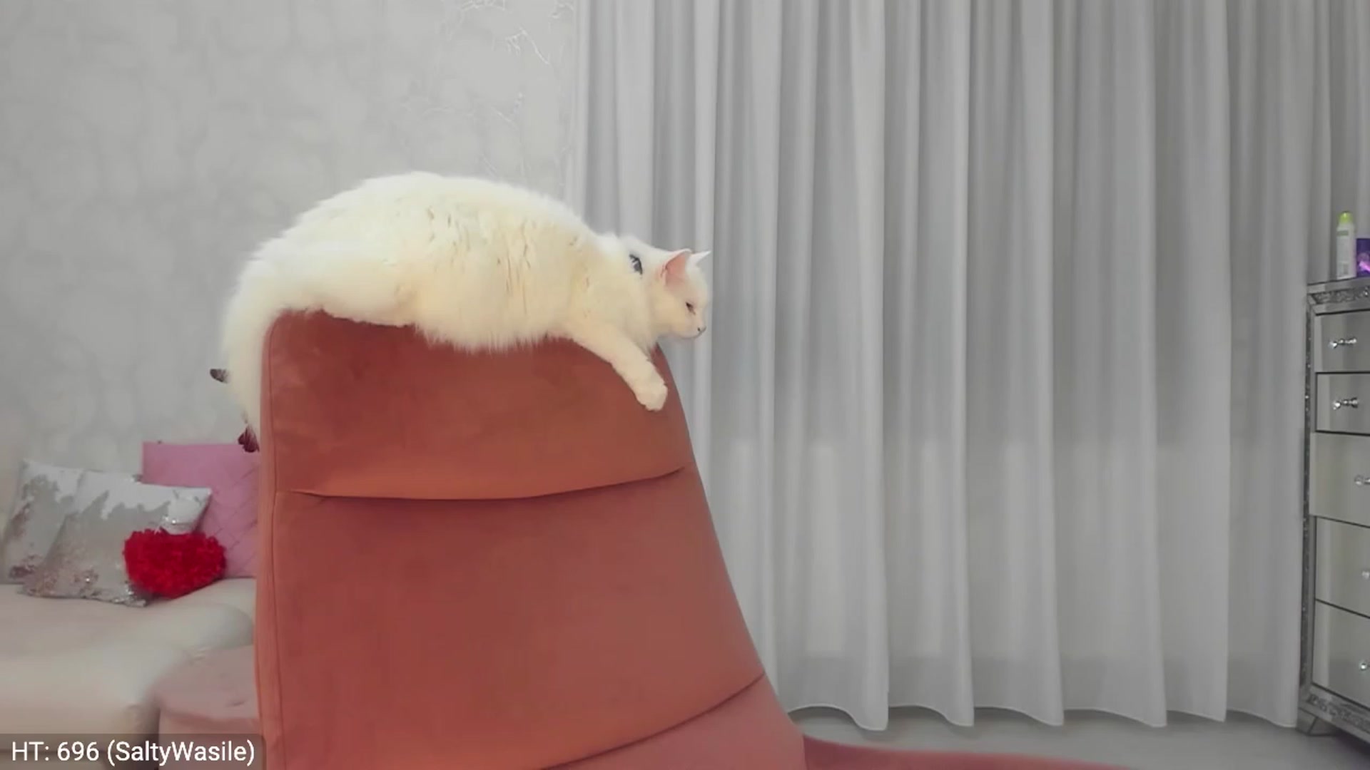 Gallery image thumbnail from MissButterfly's myfreecams stream on, 02/24/2024, 24:21 image 17 of 20
