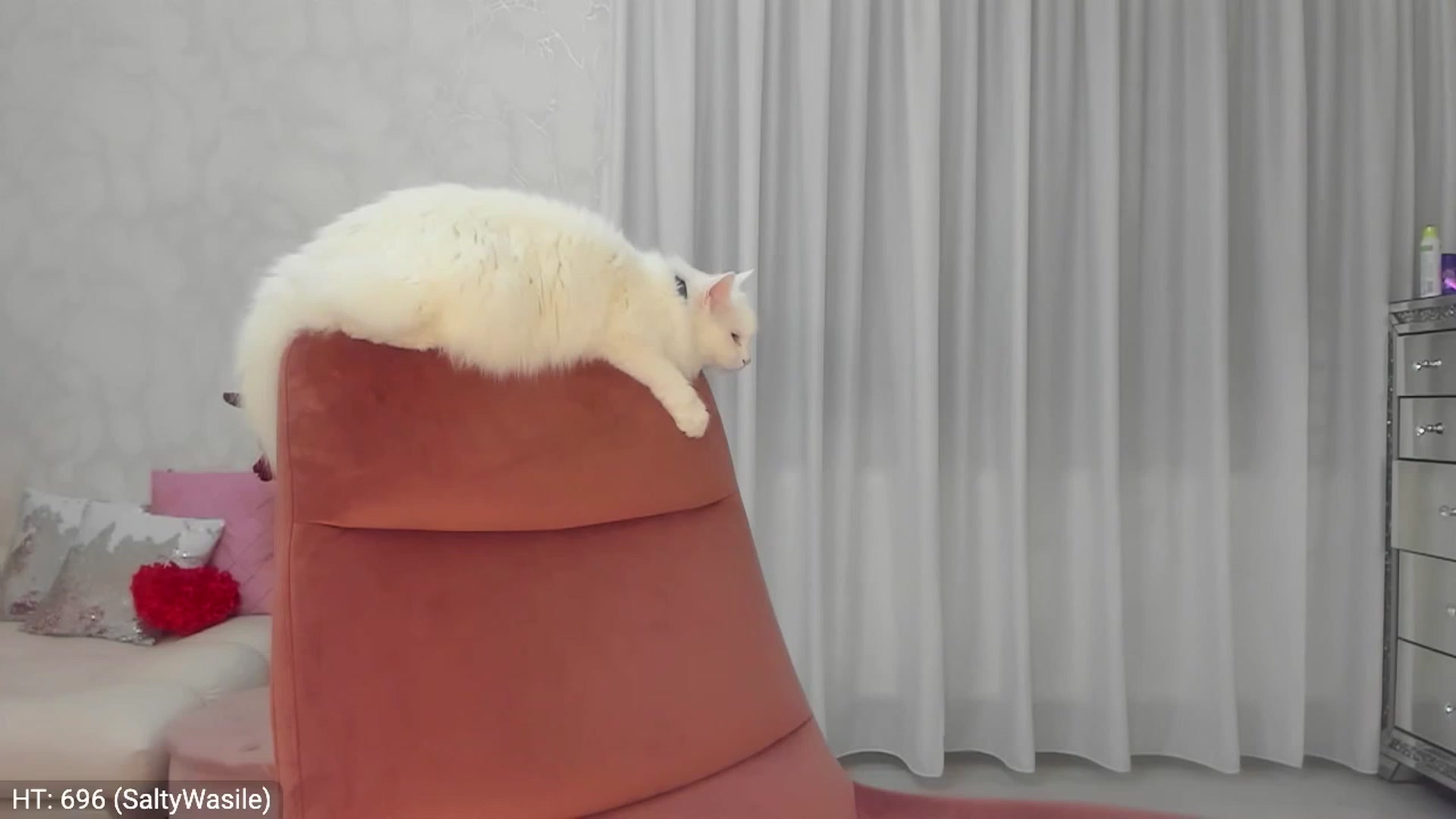 Gallery image thumbnail from MissButterfly's myfreecams stream on, 02/24/2024, 24:21 image 18 of 20