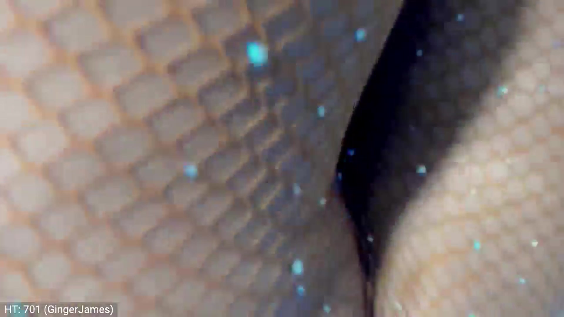 Gallery image thumbnail from MissButterfly's myfreecams stream on, 03/29/2024, 05:13 image 13 of 20