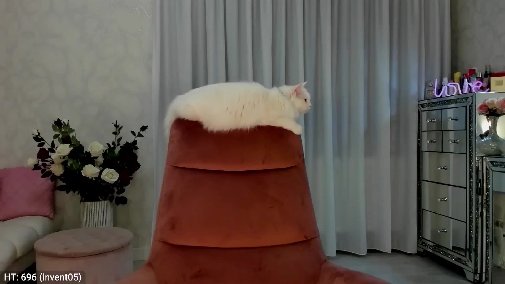 Gallery image thumbnail from MissButterfly's myfreecams stream on, 05/22/2024, 23:10 image 12 of 20