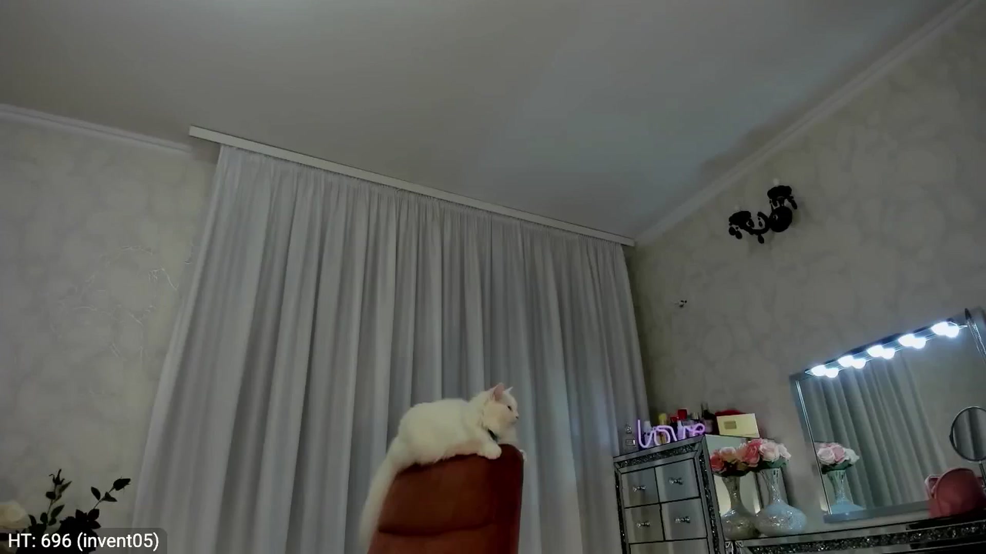Gallery image thumbnail from MissButterfly's myfreecams stream on, 05/22/2024, 23:10 image 6 of 20