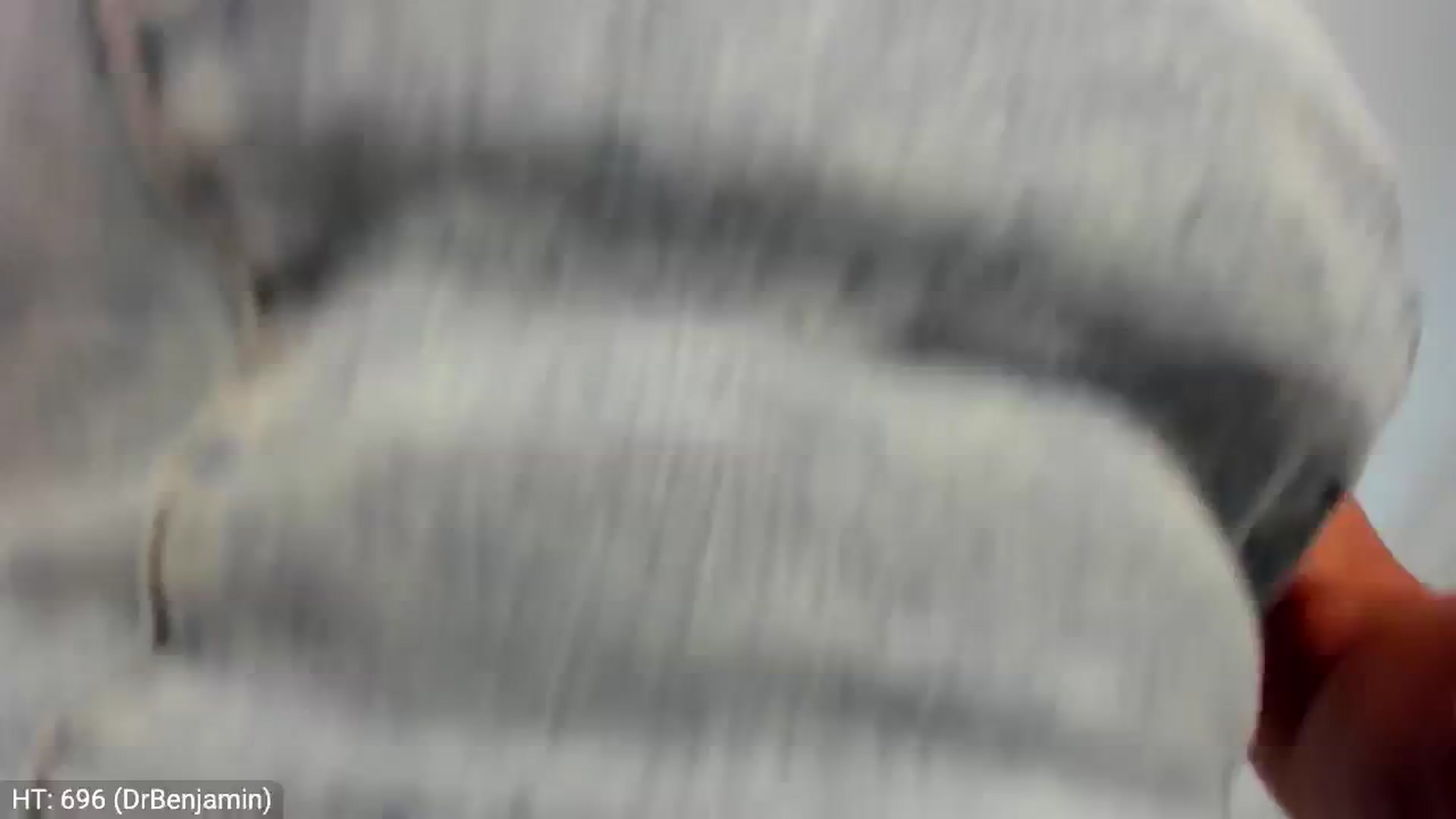 Gallery image thumbnail from MissButterfly's myfreecams stream on, 07/19/2024, 01:52 image 2 of 20