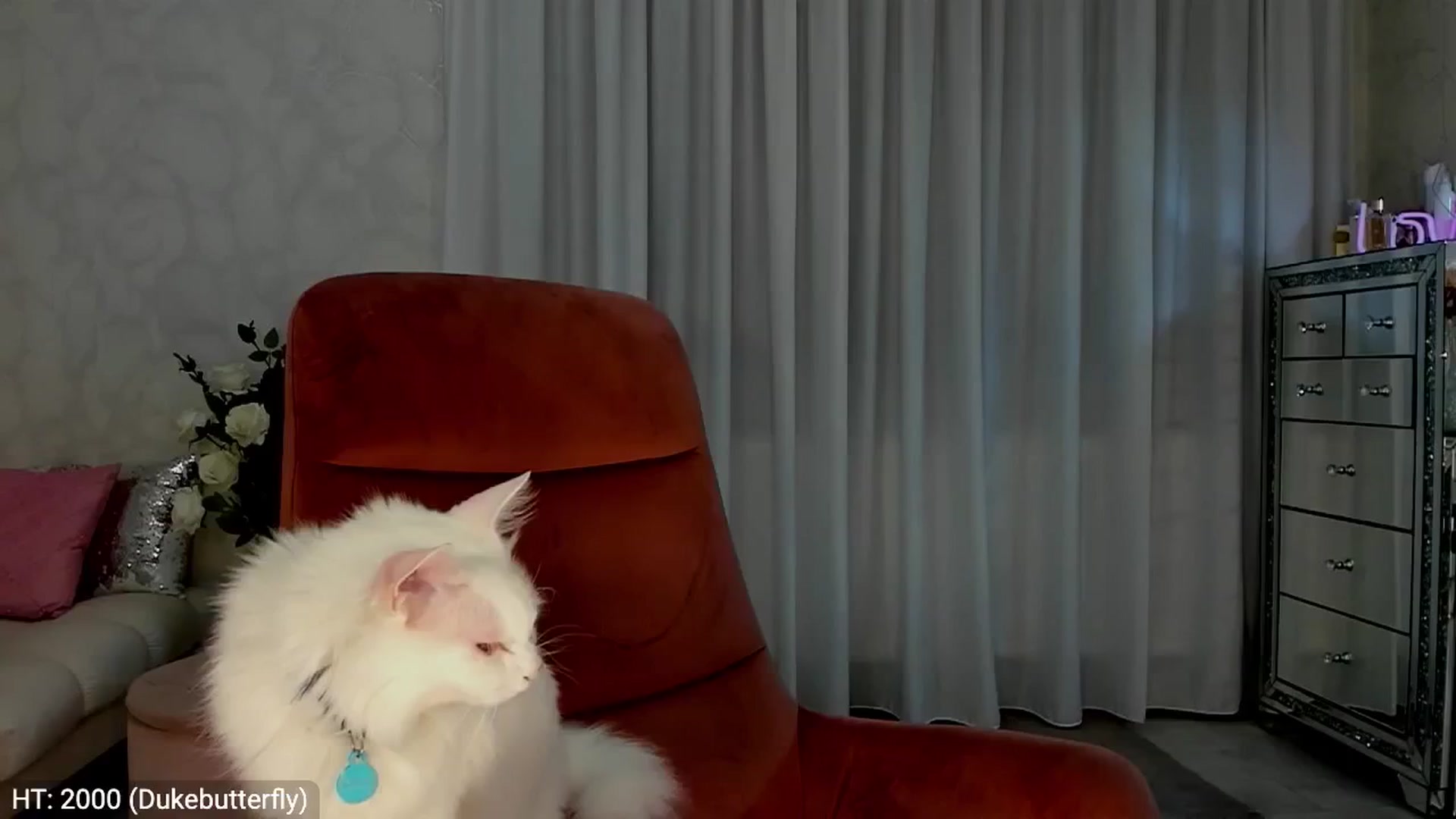 Gallery image thumbnail from MissButterfly's myfreecams stream on, 08/08/2024, 22:37 image 19 of 20