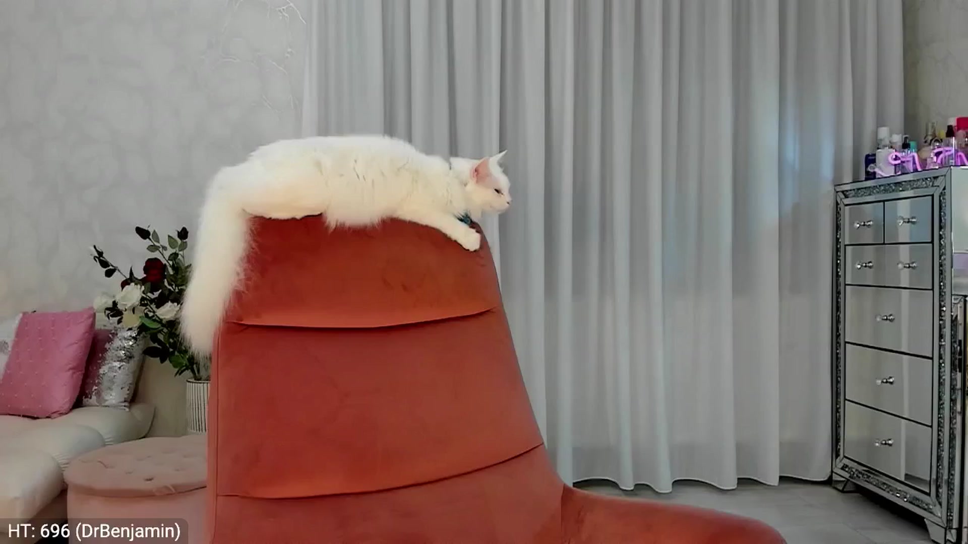 Gallery image thumbnail from MissButterfly's myfreecams stream on, 08/23/2024, 02:23 image 1 of 20