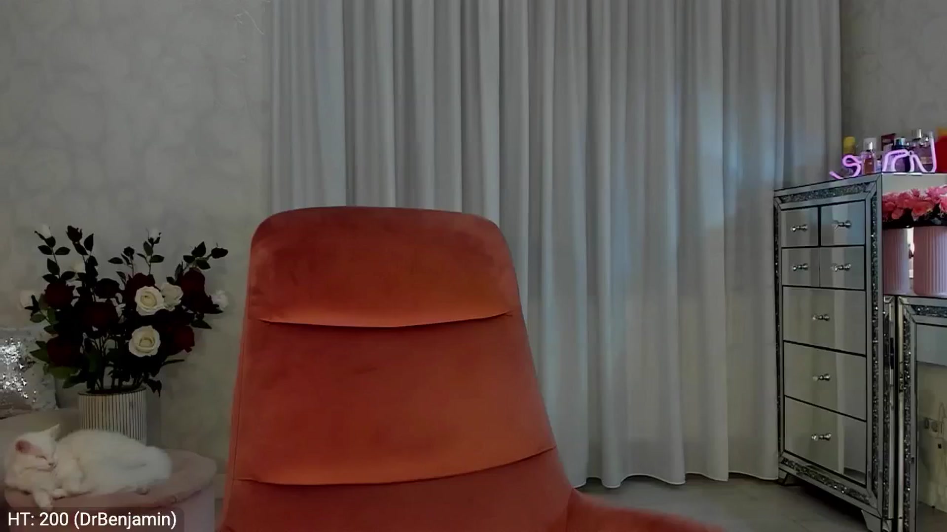 Gallery image thumbnail from MissButterfly's myfreecams stream on, 11/02/2024, 05:31 image 4 of 20