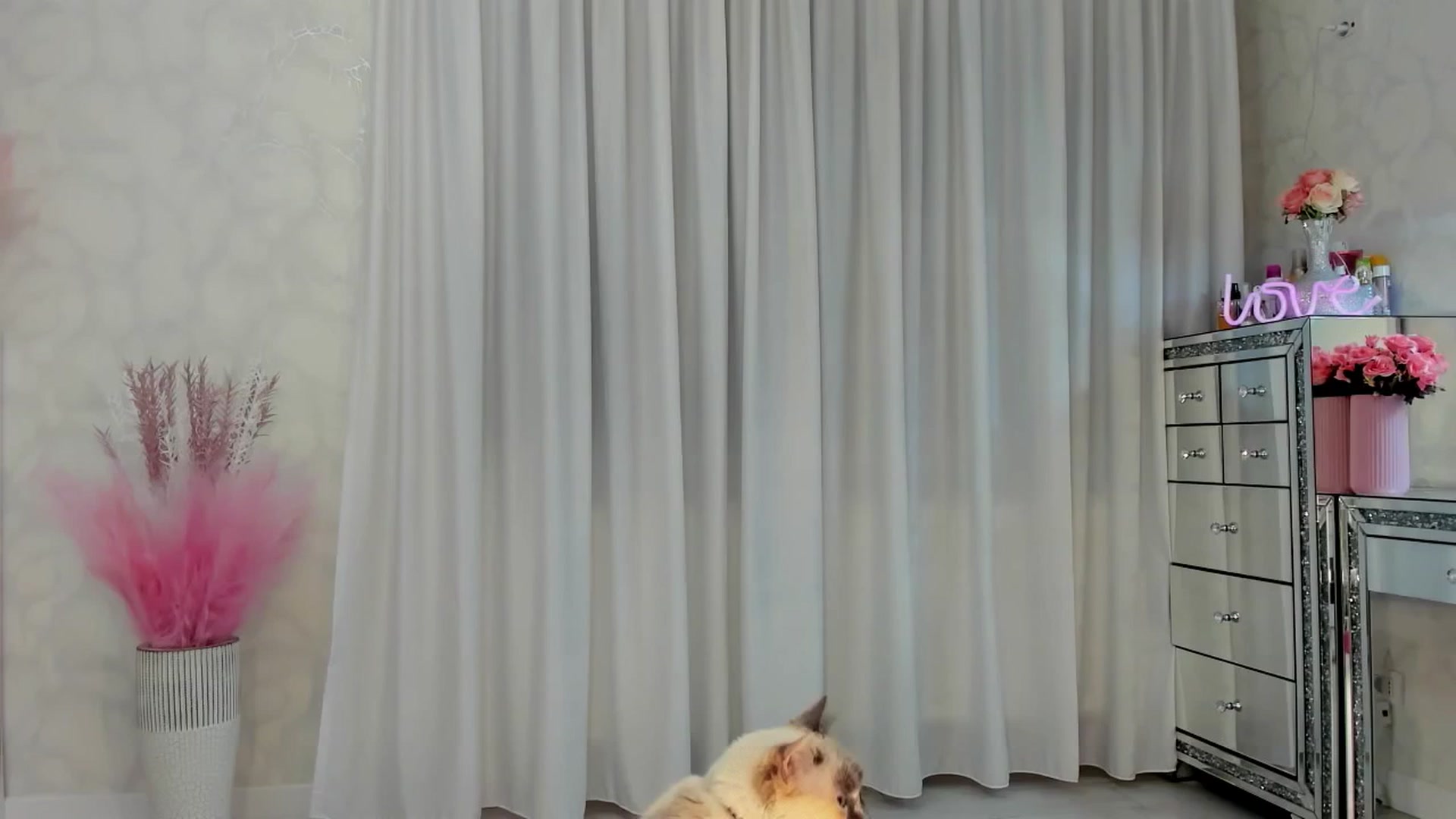 Gallery image thumbnail from MissButterfly's myfreecams stream on, 03/27/2025, 04:36 image 11 of 20