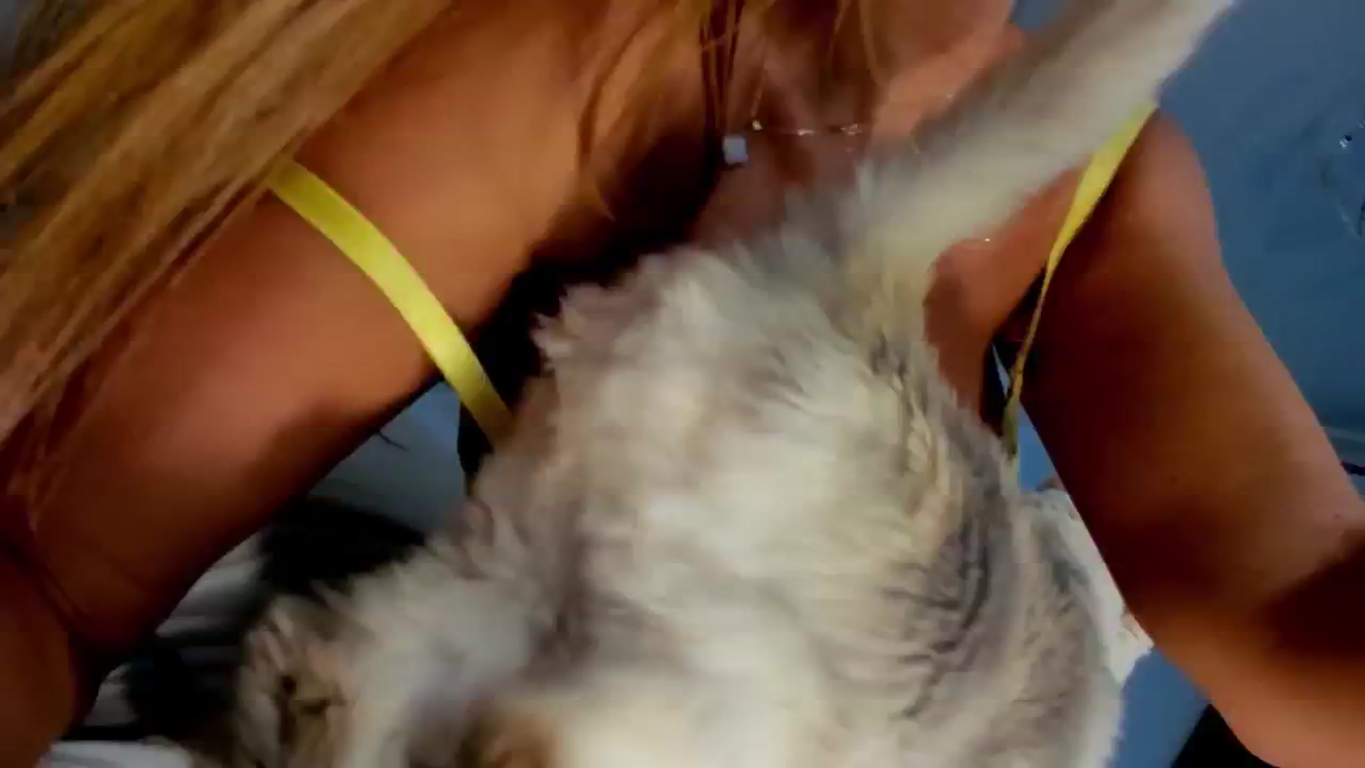 Gallery image thumbnail from MissButterfly's myfreecams stream on, 06/20/2025, 02:53 image 14 of 20
