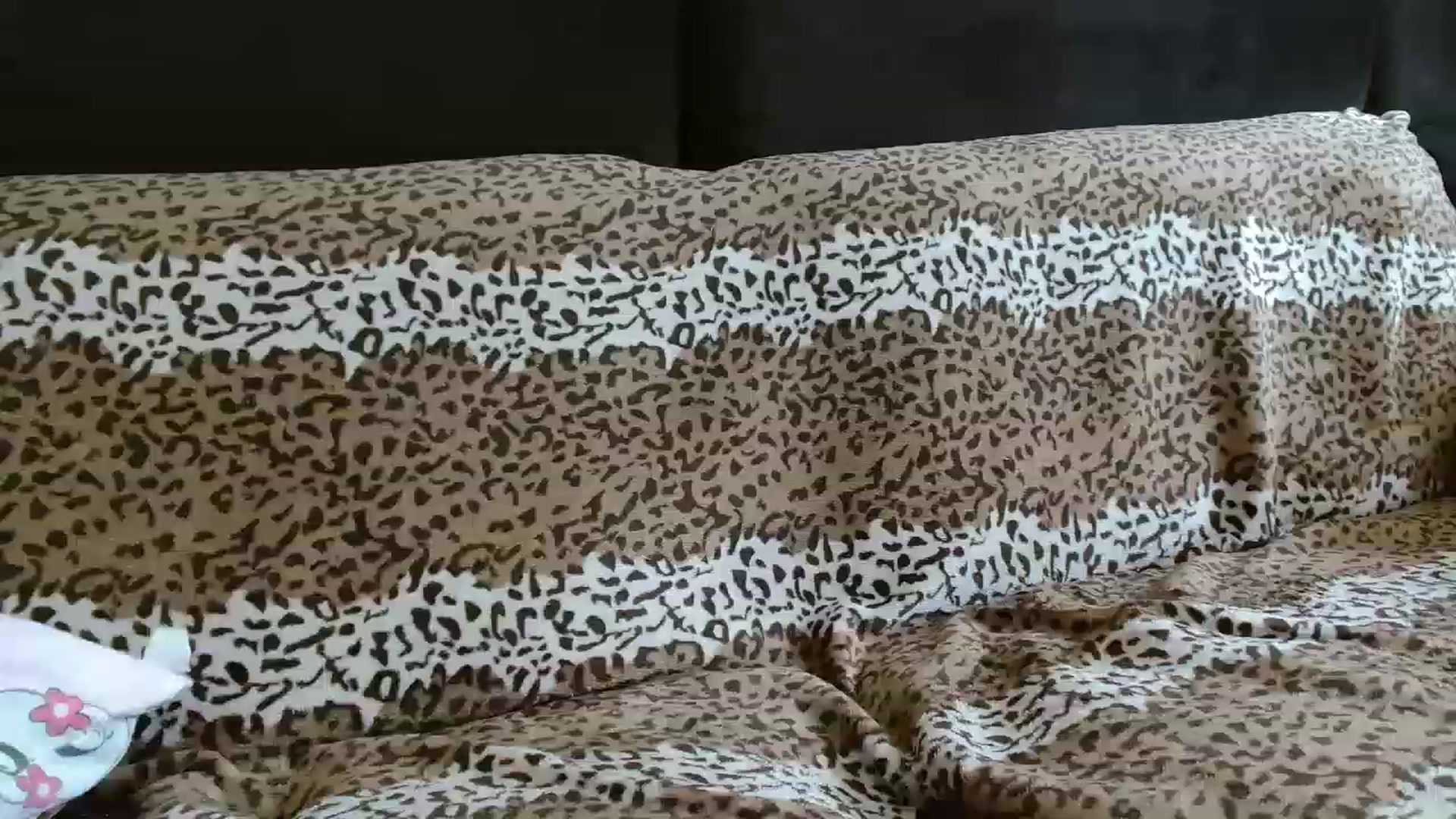 Gallery image thumbnail from MissDafina's myfreecams stream on, 04/24/2023, 07:13 image 16 of 20