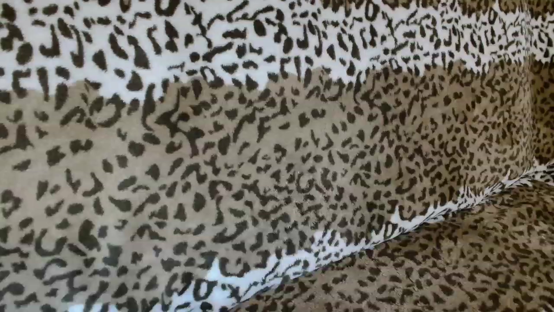 Gallery image thumbnail from MissDafina's myfreecams stream on, 04/24/2023, 18:41 image 16 of 20