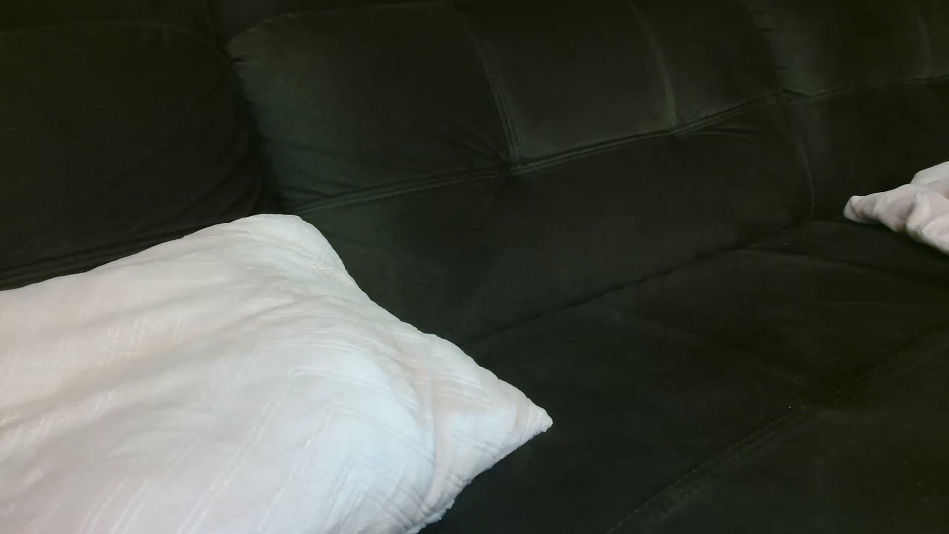 Gallery image thumbnail from MissDafina's myfreecams stream on, 05/19/2023, 24:21 image 14 of 20