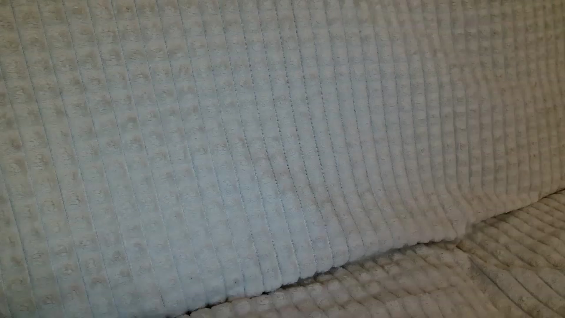Gallery image thumbnail from MissDafina's myfreecams stream on, 08/26/2023, 21:14 image 15 of 20
