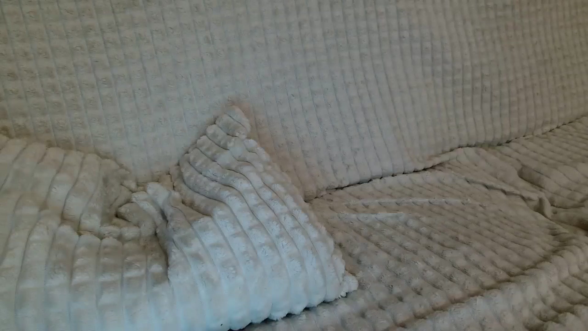 Gallery image thumbnail from MissDafina's myfreecams stream on, 08/26/2023, 22:47 image 18 of 20