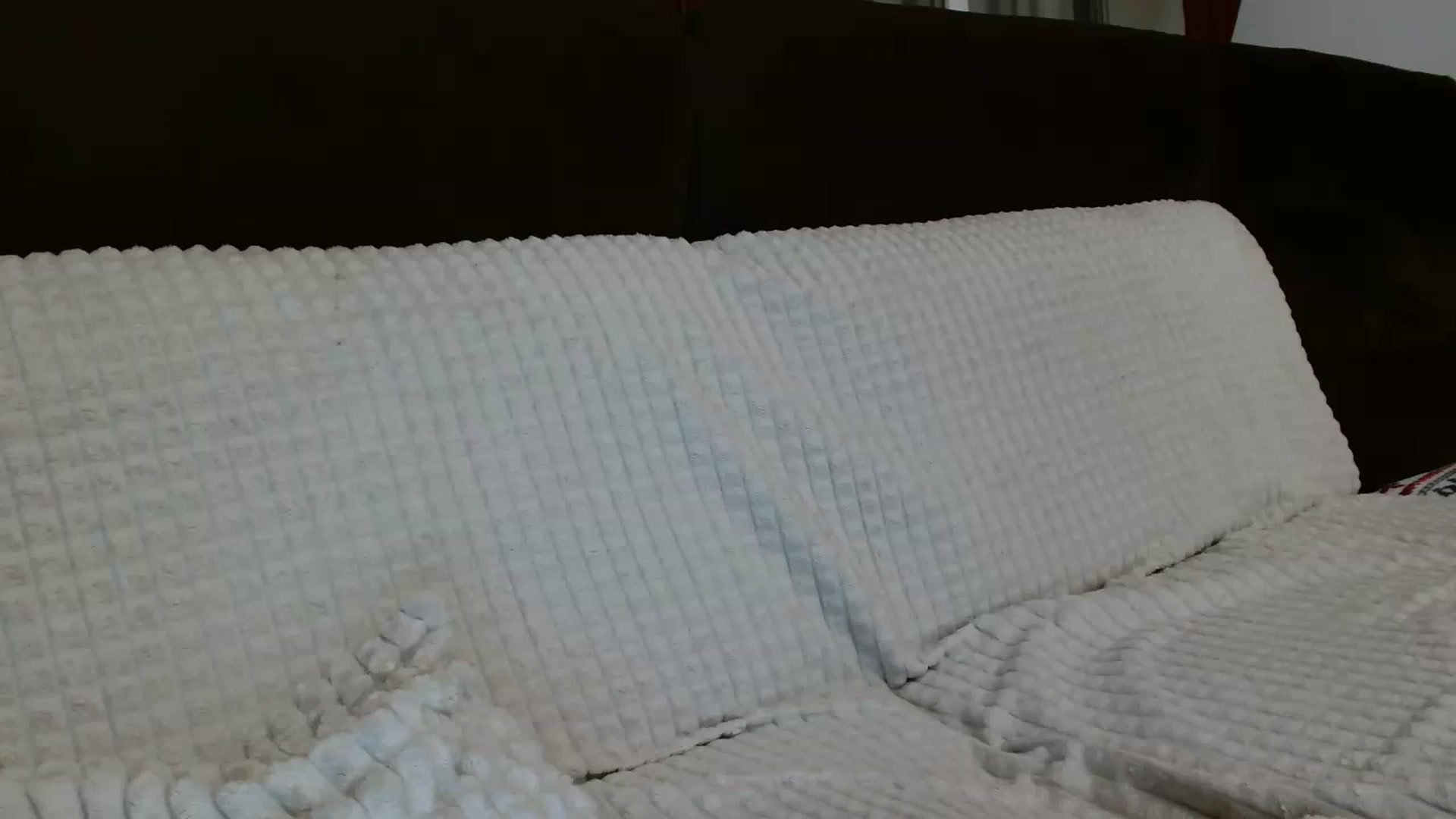 Gallery image thumbnail from MissDafina's myfreecams stream on, 08/27/2023, 01:18 image 7 of 20