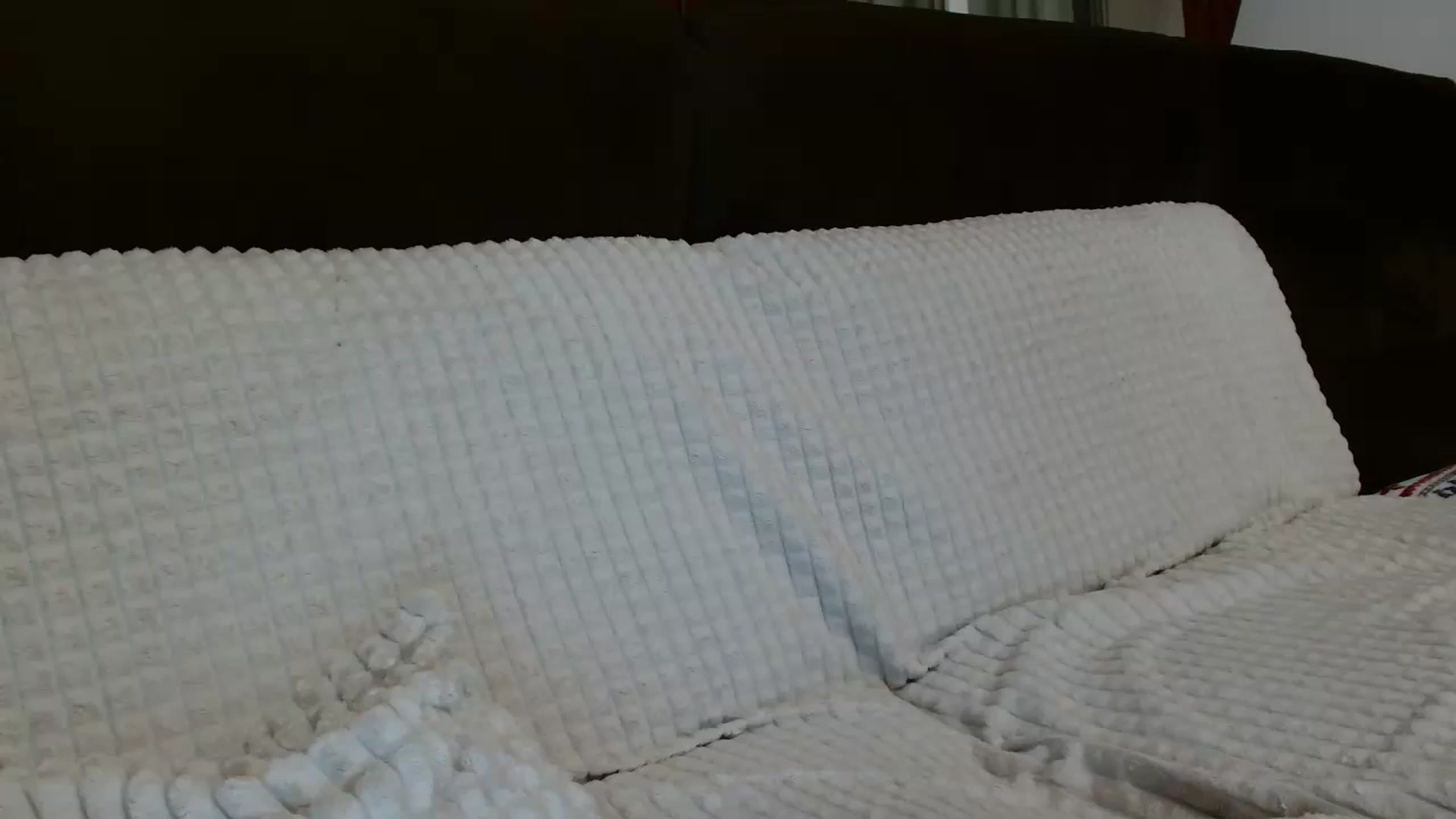 Gallery image thumbnail from MissDafina's myfreecams stream on, 08/27/2023, 01:18 image 11 of 20