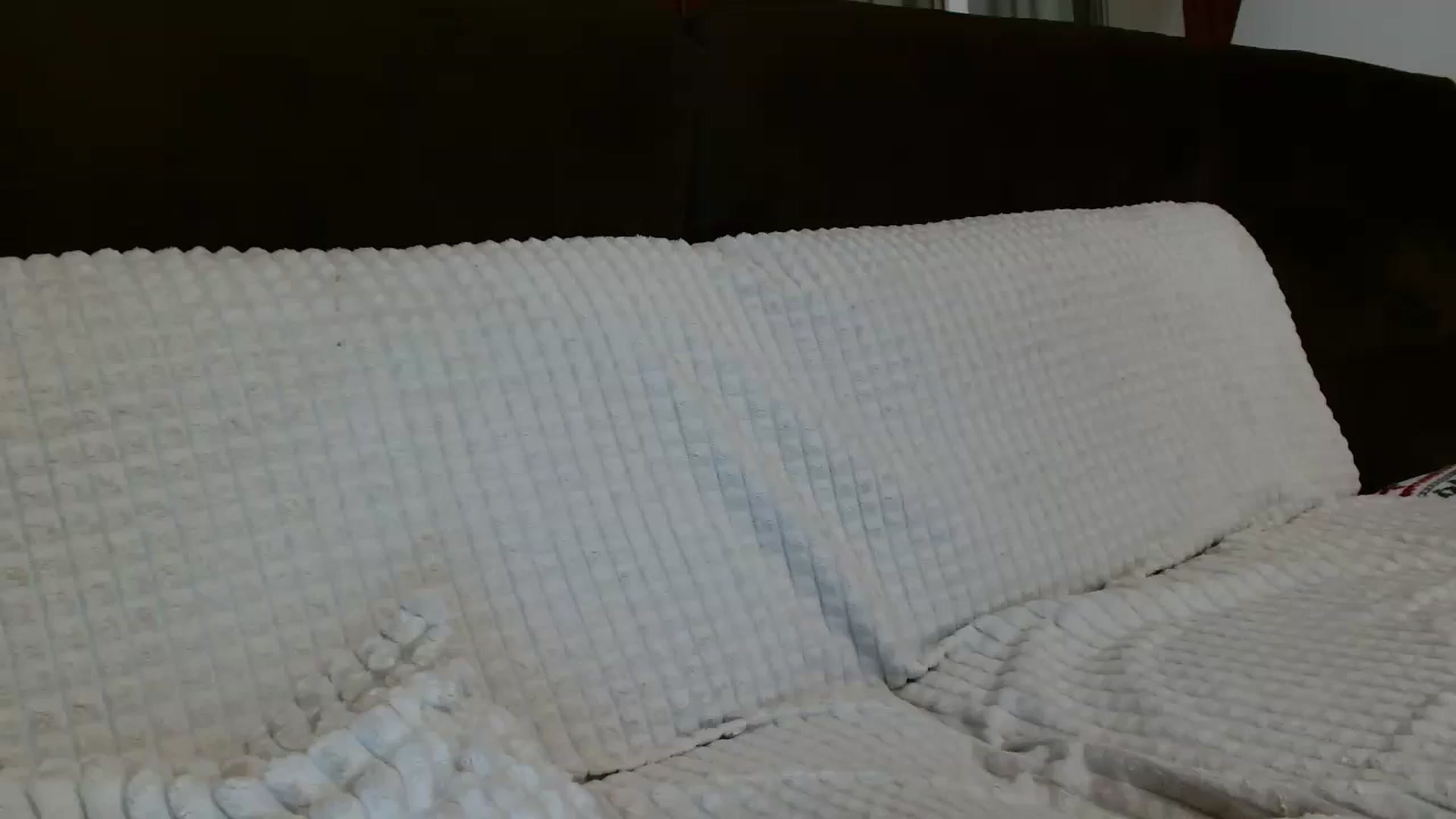 Gallery image thumbnail from MissDafina's myfreecams stream on, 08/27/2023, 01:18 image 10 of 20