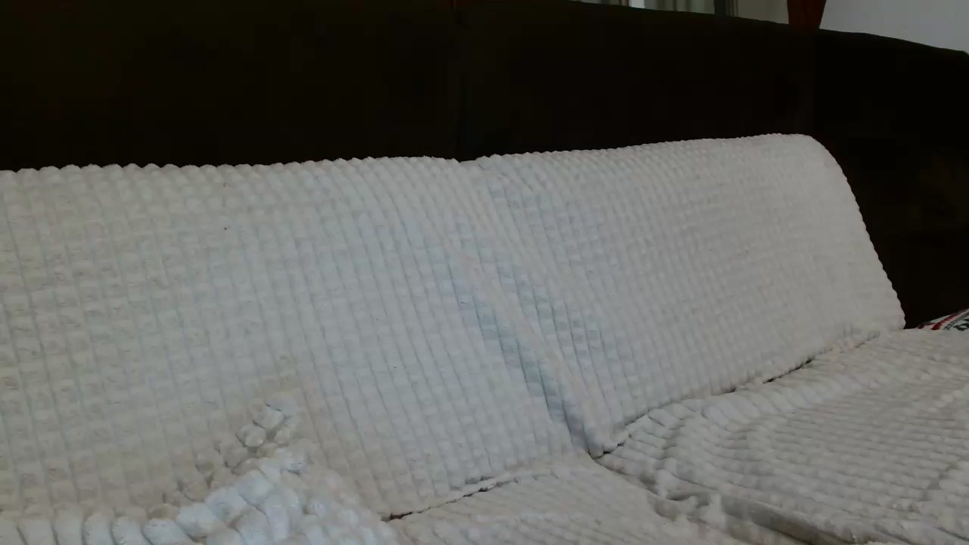 Gallery image thumbnail from MissDafina's myfreecams stream on, 08/27/2023, 01:18 image 8 of 20