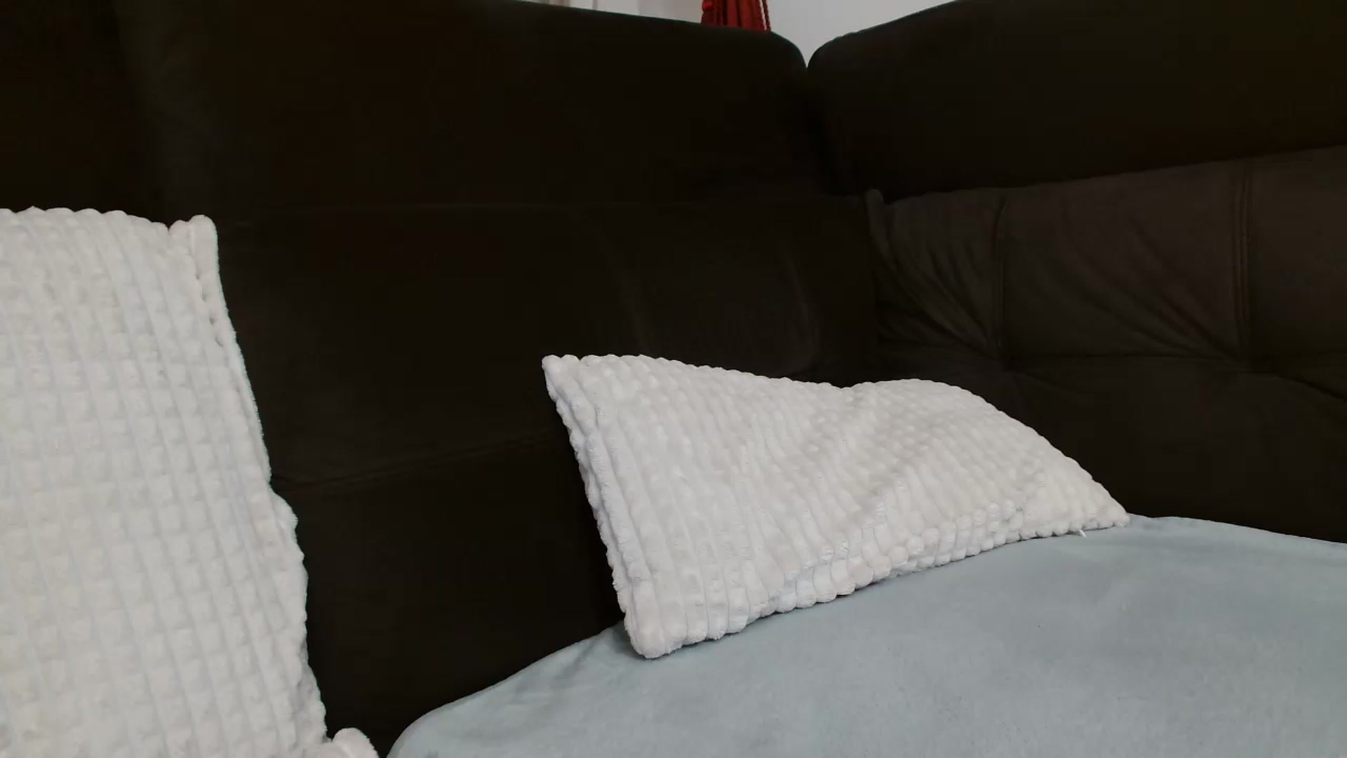 Gallery image thumbnail from MissDafina's myfreecams stream on, 11/28/2023, 24:41 image 14 of 20