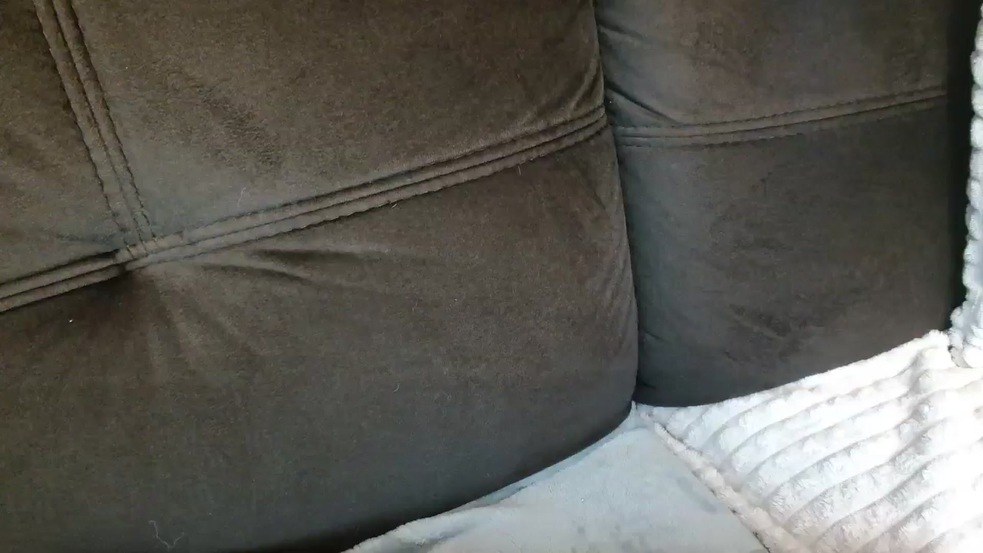 Gallery image thumbnail from MissDafina's myfreecams stream on, 01/24/2024, 14:29 image 10 of 20