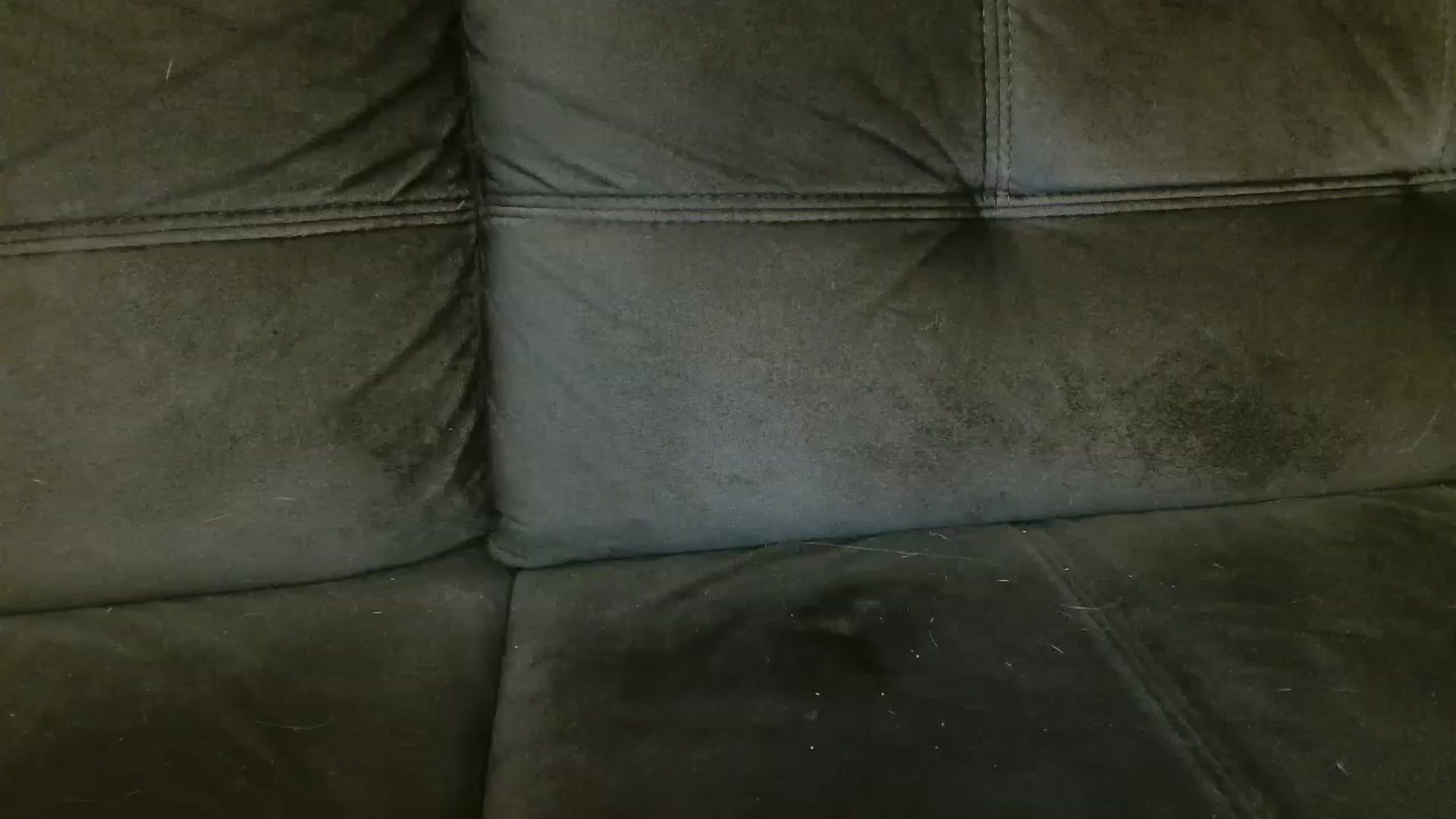 Gallery image thumbnail from MissDafina's myfreecams stream on, 02/13/2024, 22:21 image 9 of 20