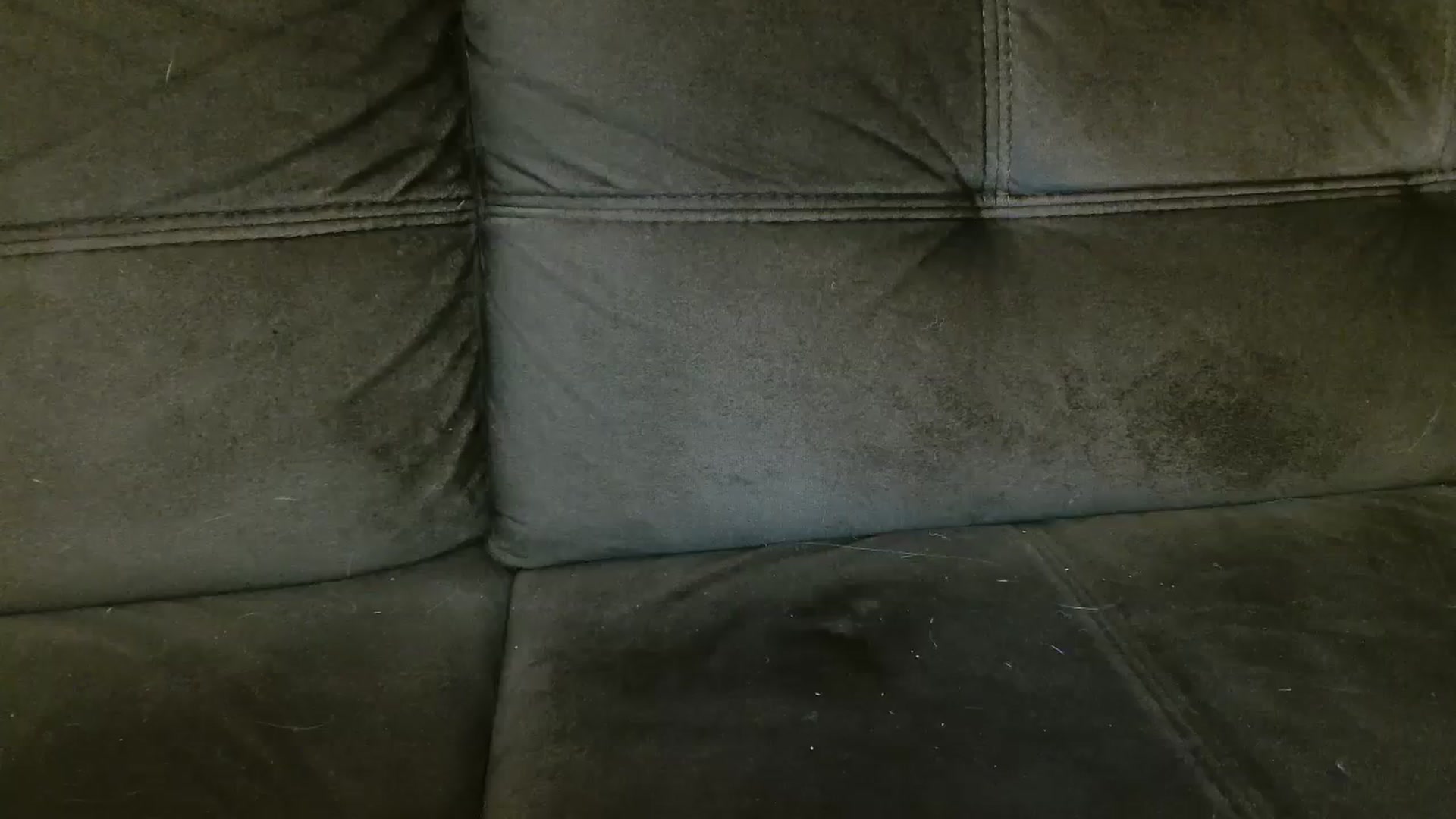 Gallery image thumbnail from MissDafina's myfreecams stream on, 02/13/2024, 22:21 image 8 of 20