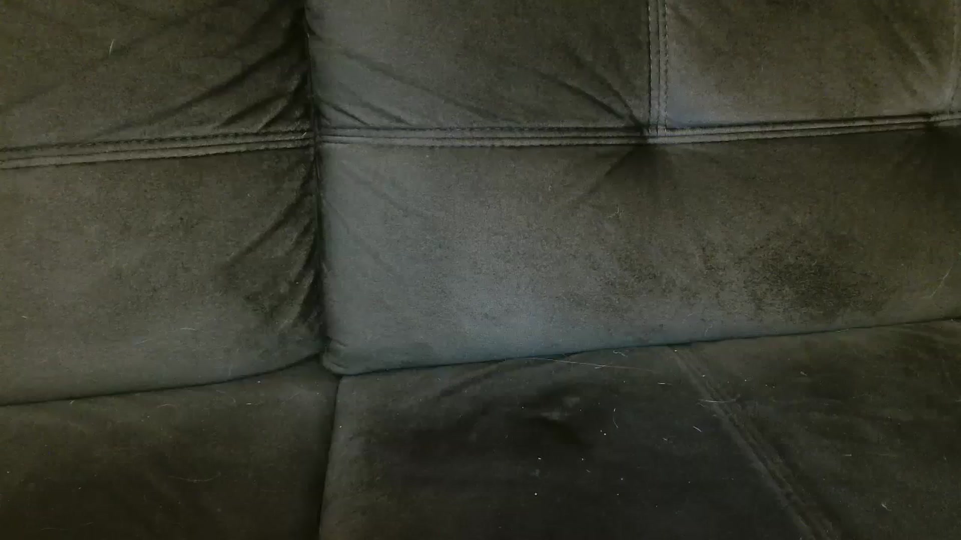 Gallery image thumbnail from MissDafina's myfreecams stream on, 02/13/2024, 22:21 image 6 of 20