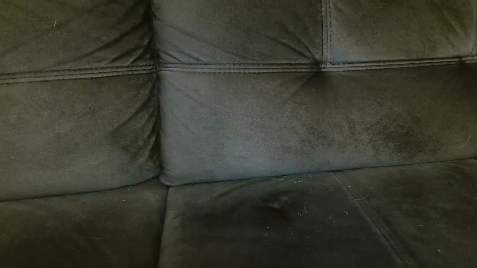 Gallery image thumbnail from MissDafina's myfreecams stream on, 02/13/2024, 22:21 image 7 of 20