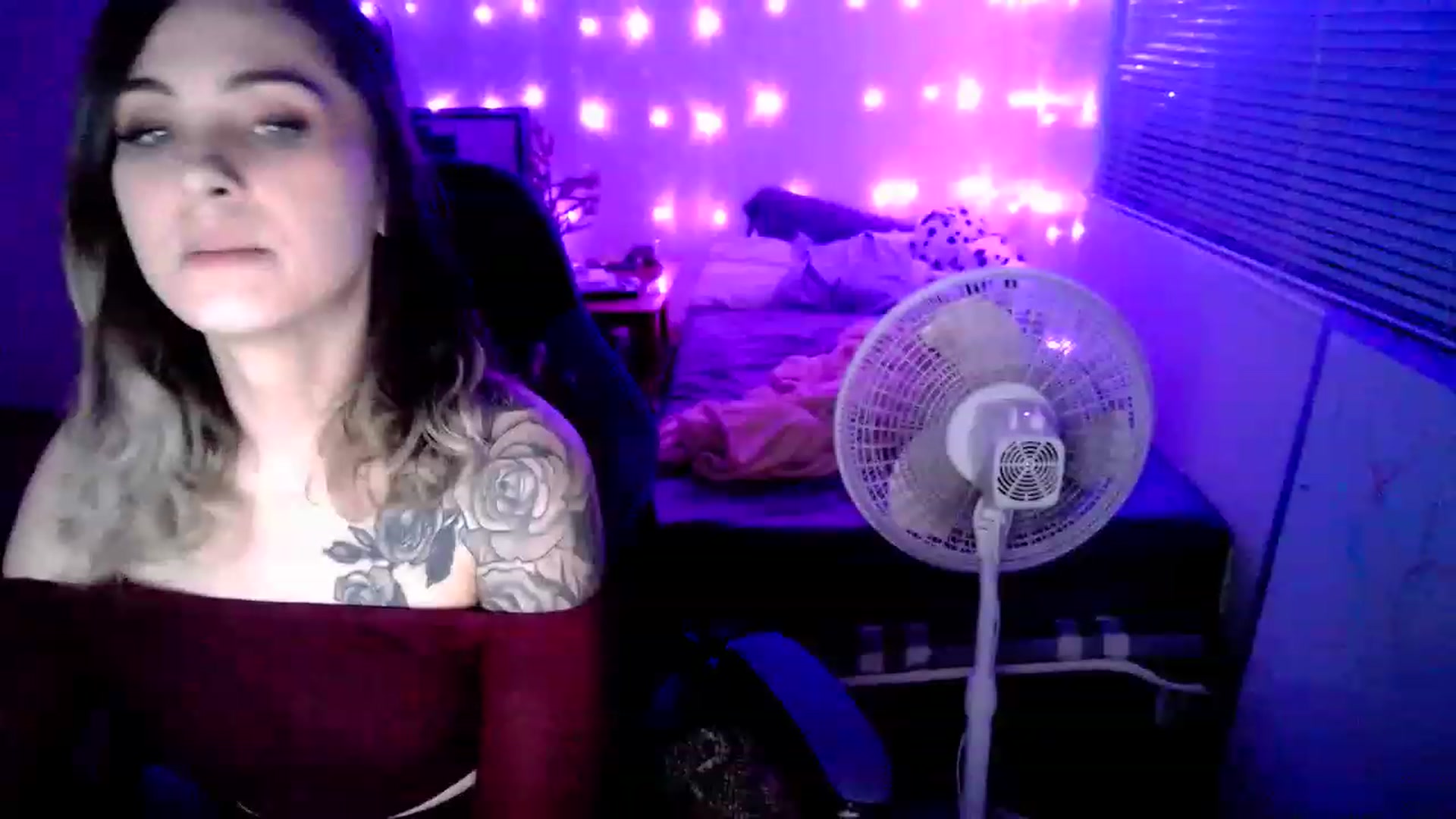 Gallery image thumbnail from MissDaliah's myfreecams stream on, 12/08/2022, 08:25 image 14 of 20