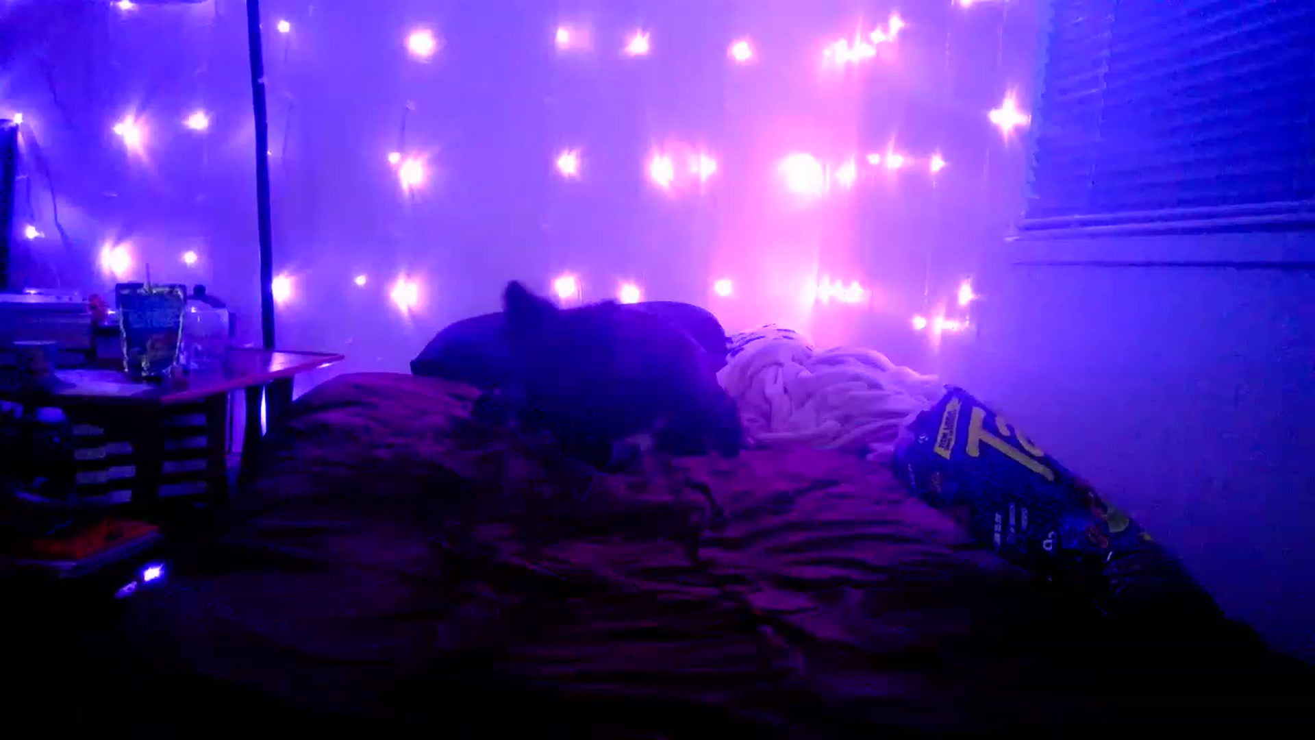 Gallery image thumbnail from MissDaliah's myfreecams stream on, 01/28/2023, 11:32 image 20 of 20