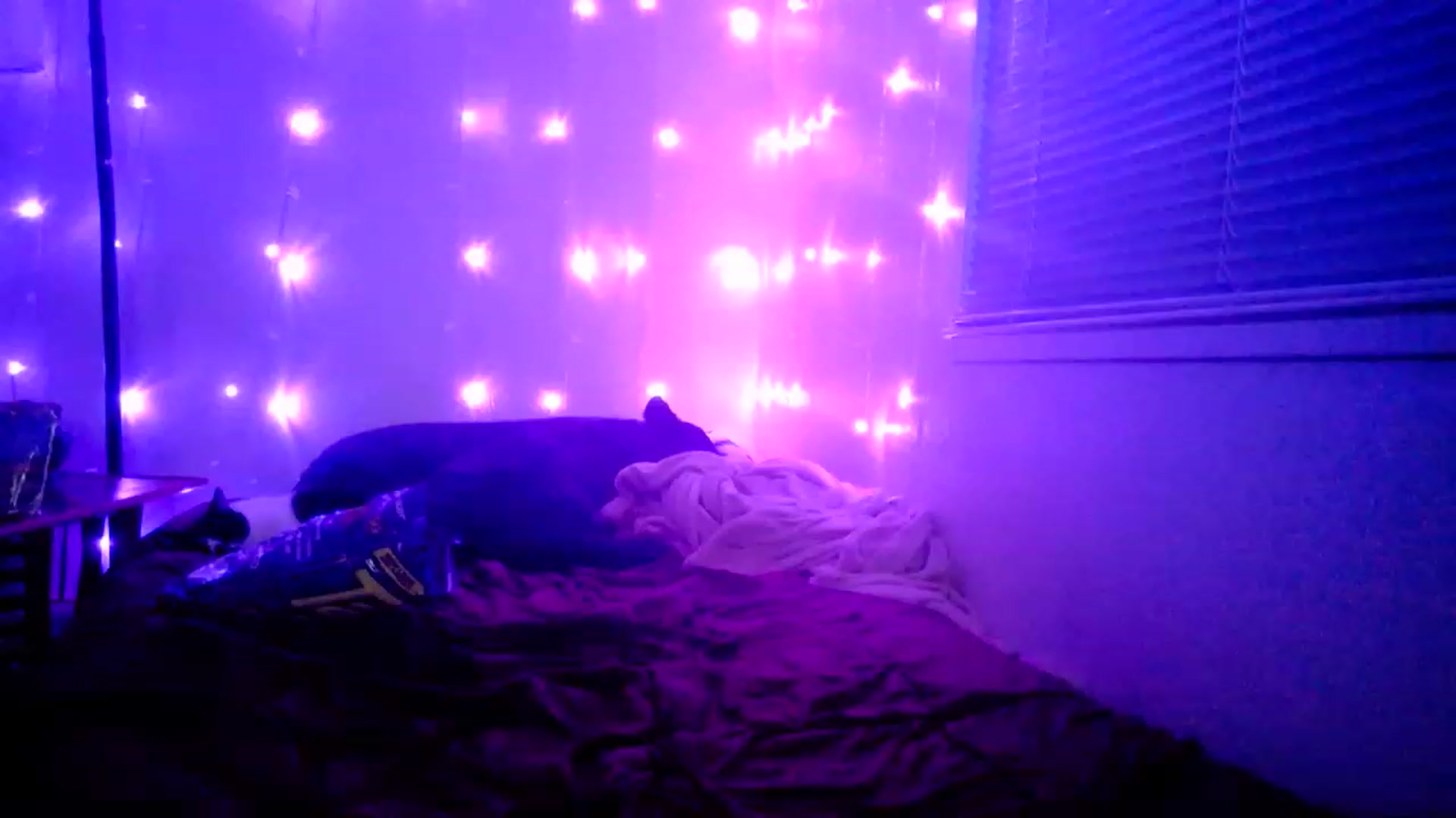 Gallery image thumbnail from MissDaliah's myfreecams stream on, 01/28/2023, 11:32 image 6 of 20