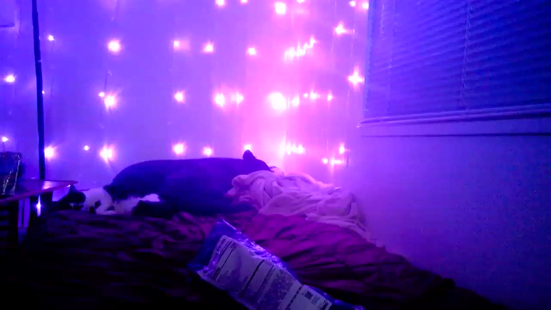 Gallery image thumbnail from MissDaliah's myfreecams stream on, 01/28/2023, 11:32 image 8 of 20
