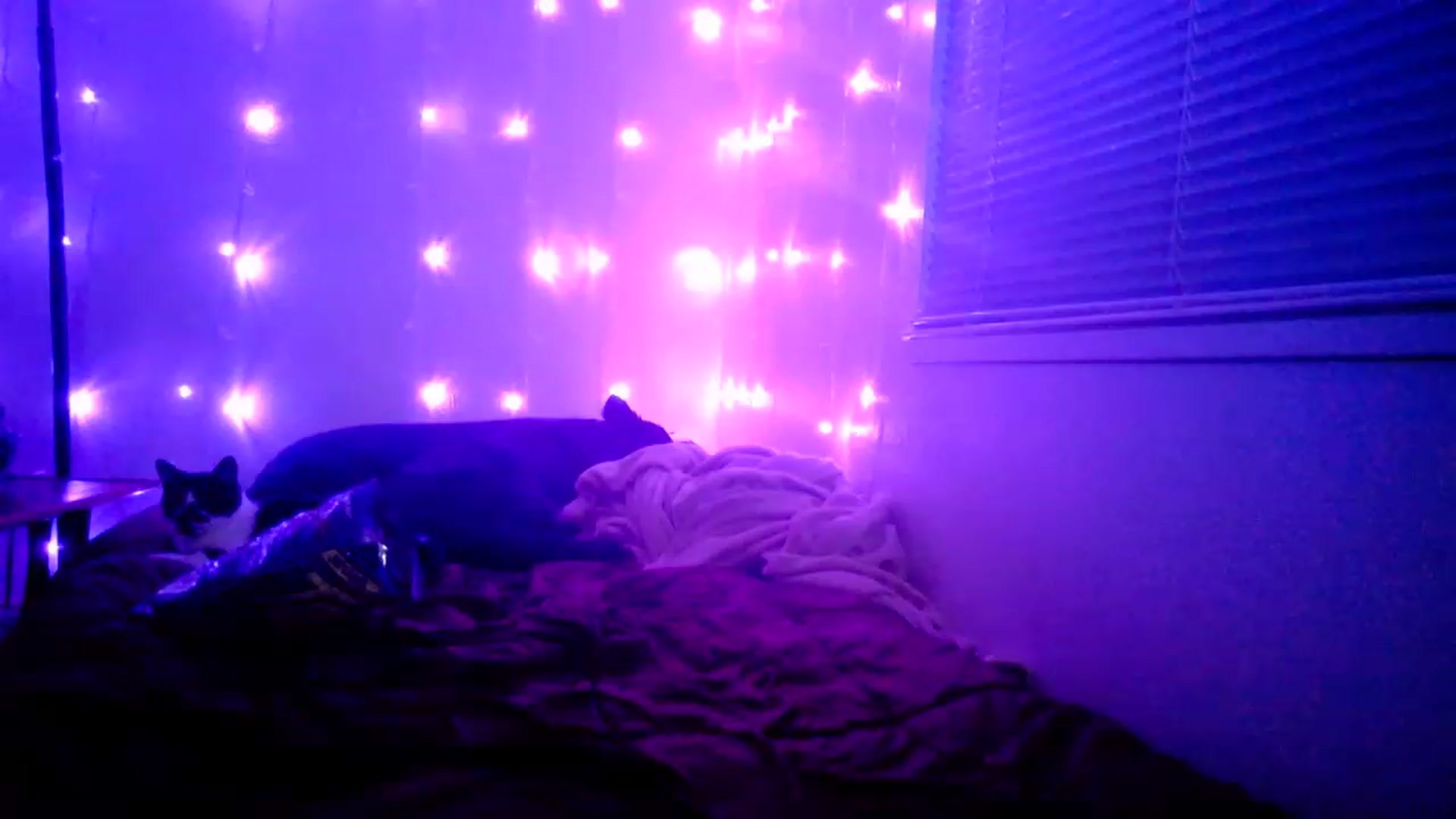 Gallery image thumbnail from MissDaliah's myfreecams stream on, 01/28/2023, 11:32 image 3 of 20