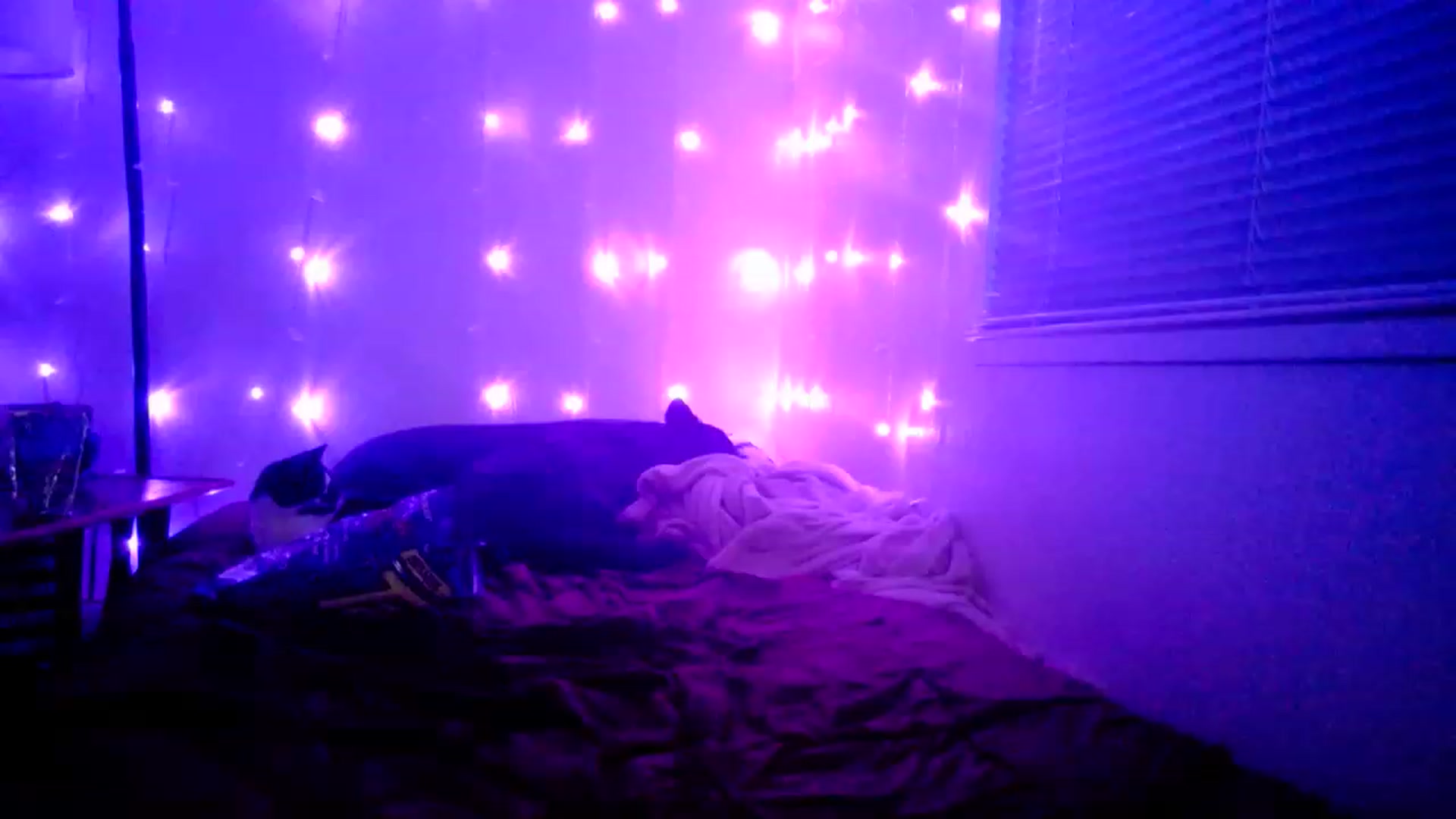 Gallery image thumbnail from MissDaliah's myfreecams stream on, 01/28/2023, 11:32 image 5 of 20