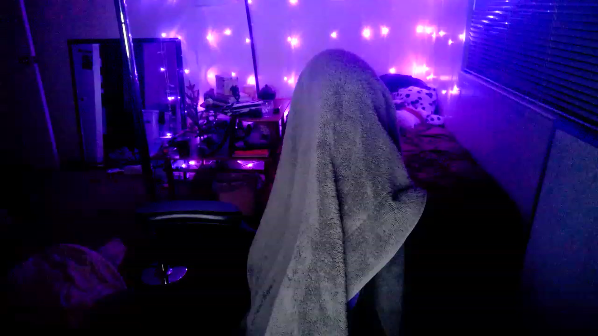 Gallery image thumbnail from MissDaliah's myfreecams stream on, 02/13/2023, 10:13 image 19 of 20