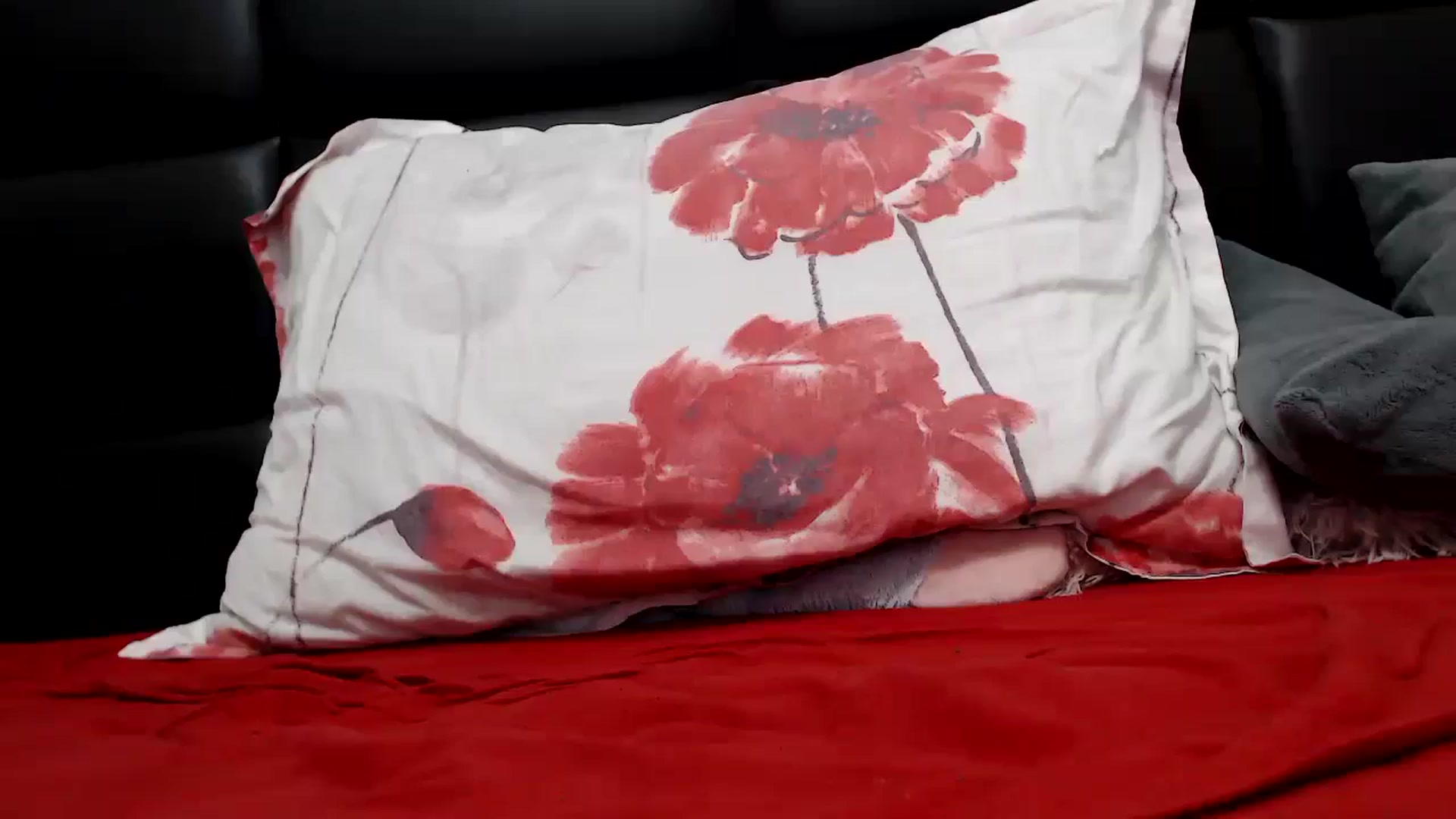 Gallery image thumbnail from MissDivinna's myfreecams stream on, 07/14/2024, 24:02 image 16 of 20