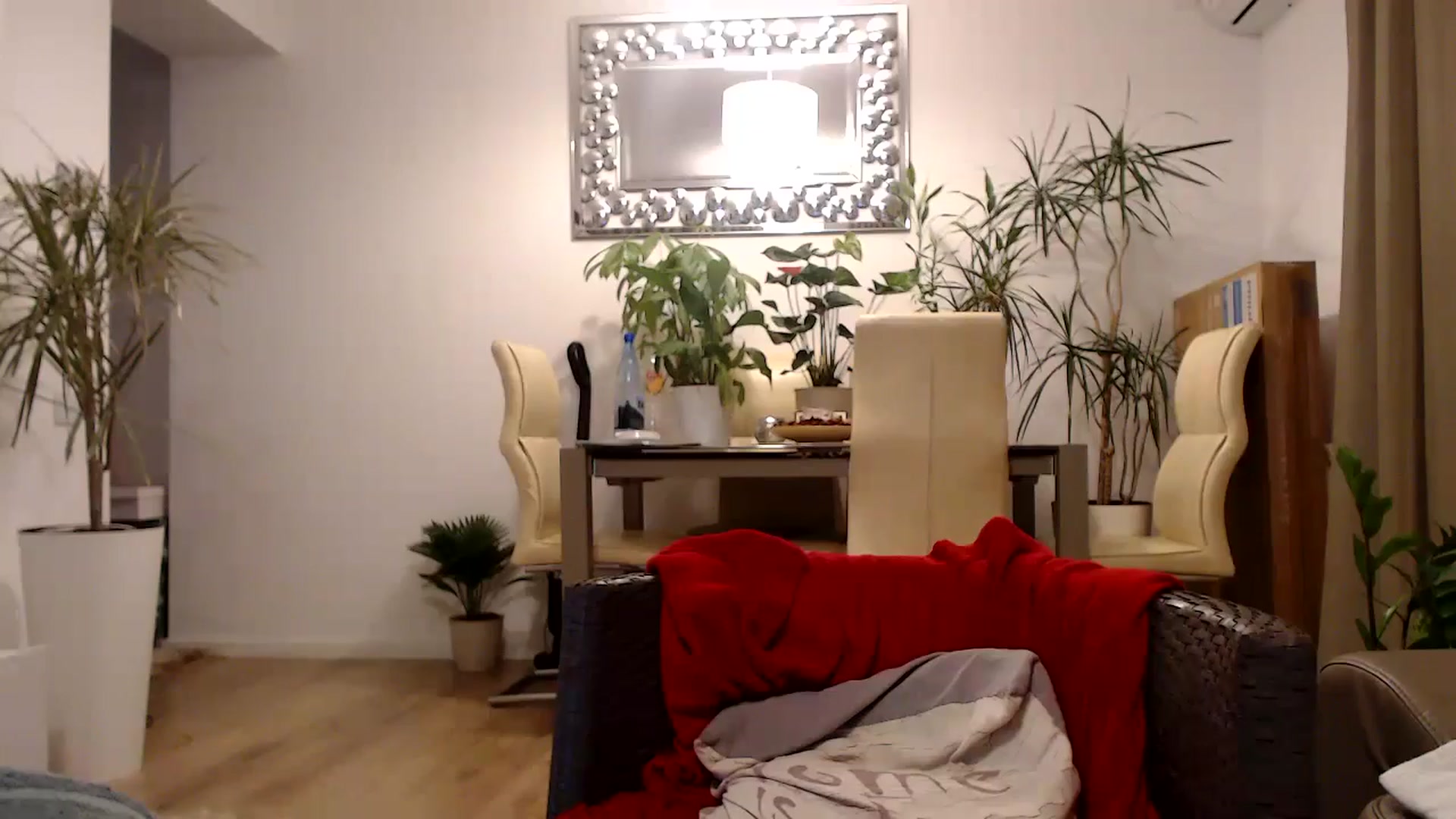 Gallery image thumbnail from MissDivinna's myfreecams stream on, 07/26/2024, 01:05 image 13 of 20
