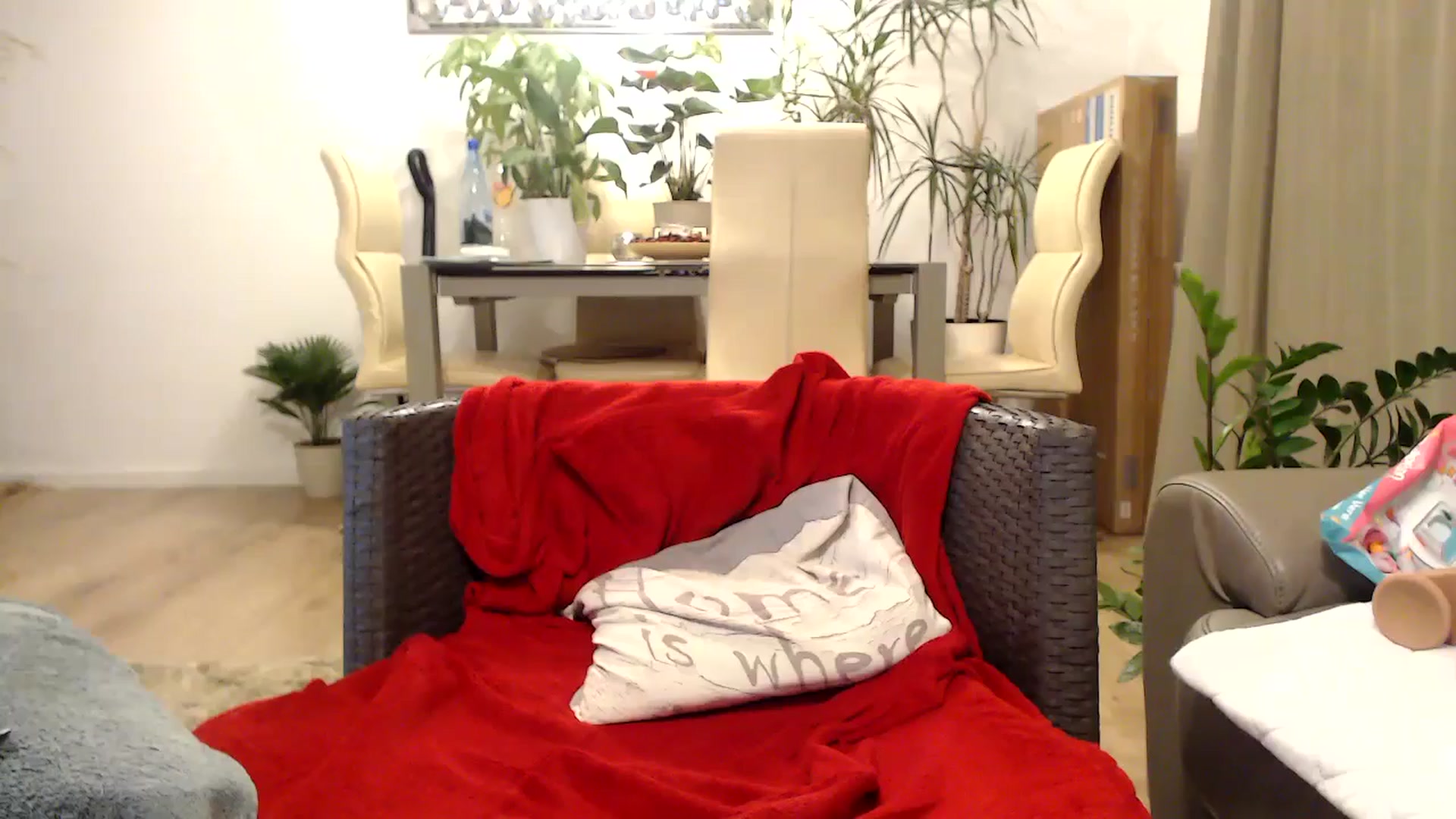Gallery image thumbnail from MissDivinna's myfreecams stream on, 07/26/2024, 02:21 image 17 of 20
