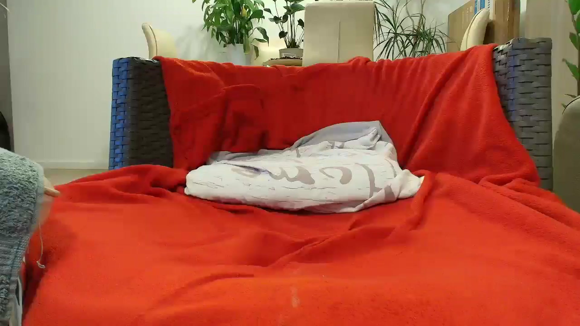 Gallery image thumbnail from MissDivinna's myfreecams stream on, 08/09/2024, 03:53 image 10 of 20