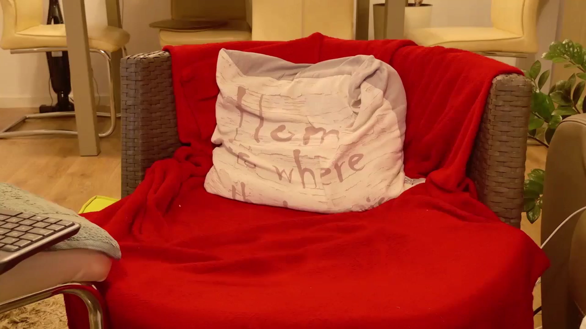 Gallery image thumbnail from MissDivinna's myfreecams stream on, 09/08/2024, 01:34 image 15 of 20