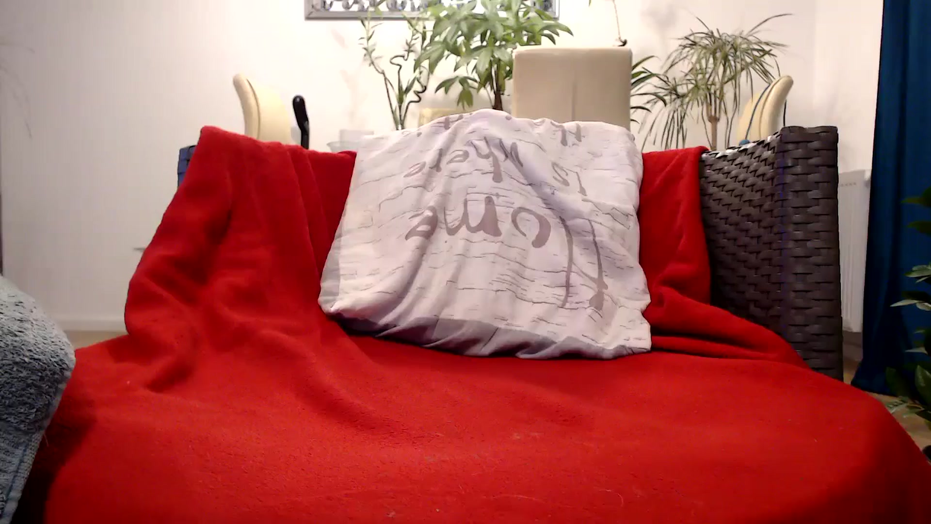 Gallery image thumbnail from MissDivinna's myfreecams stream on, 10/20/2024, 23:43 image 7 of 20