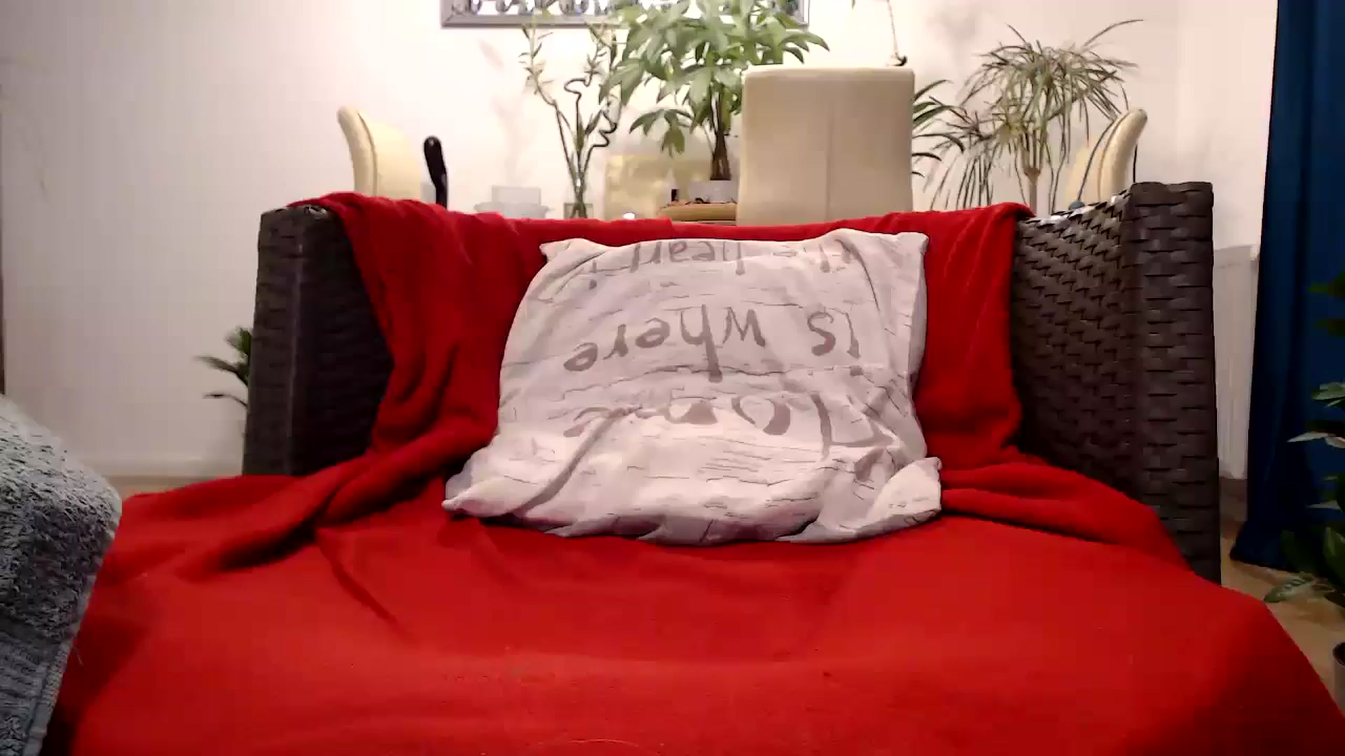 Gallery image thumbnail from MissDivinna's myfreecams stream on, 10/20/2024, 23:43 image 12 of 20